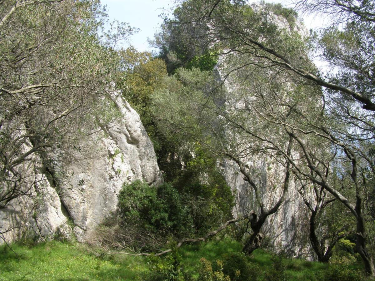 Photo 27