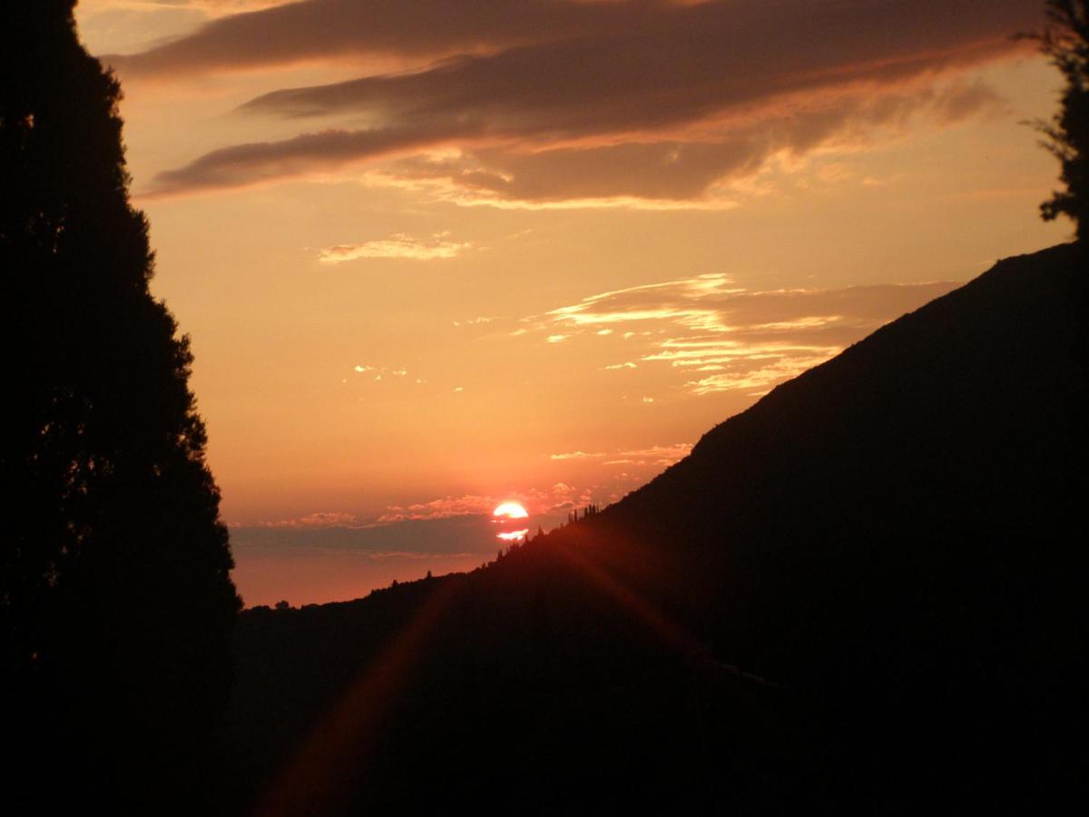 Photo 50