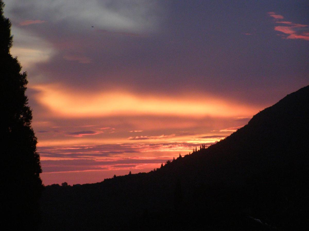 Photo 49