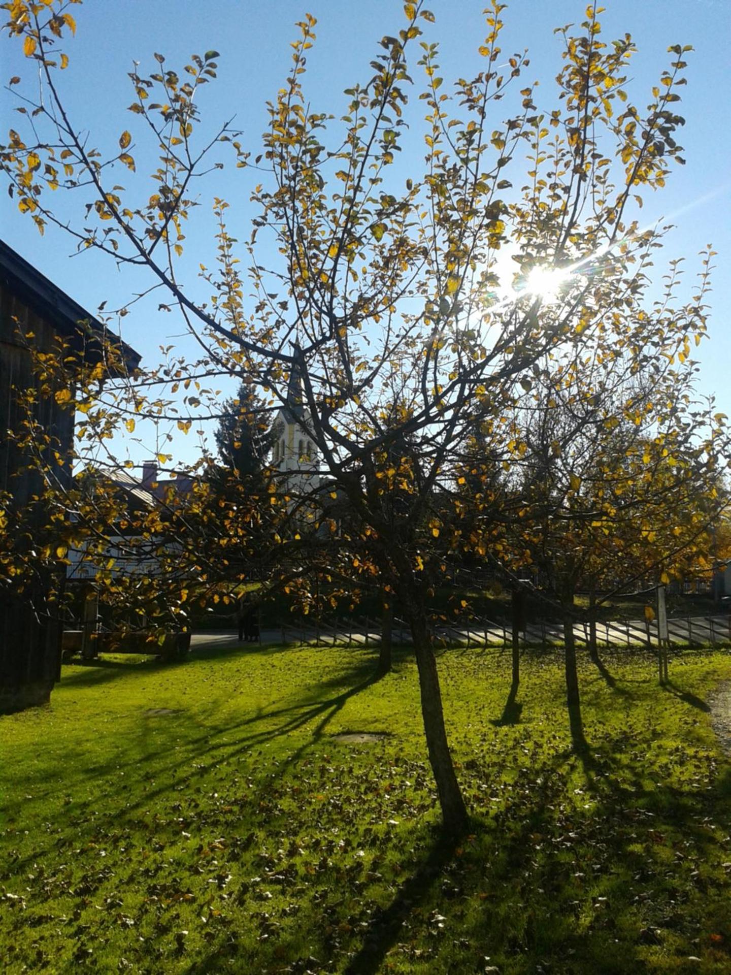 Gästehaus Susanne