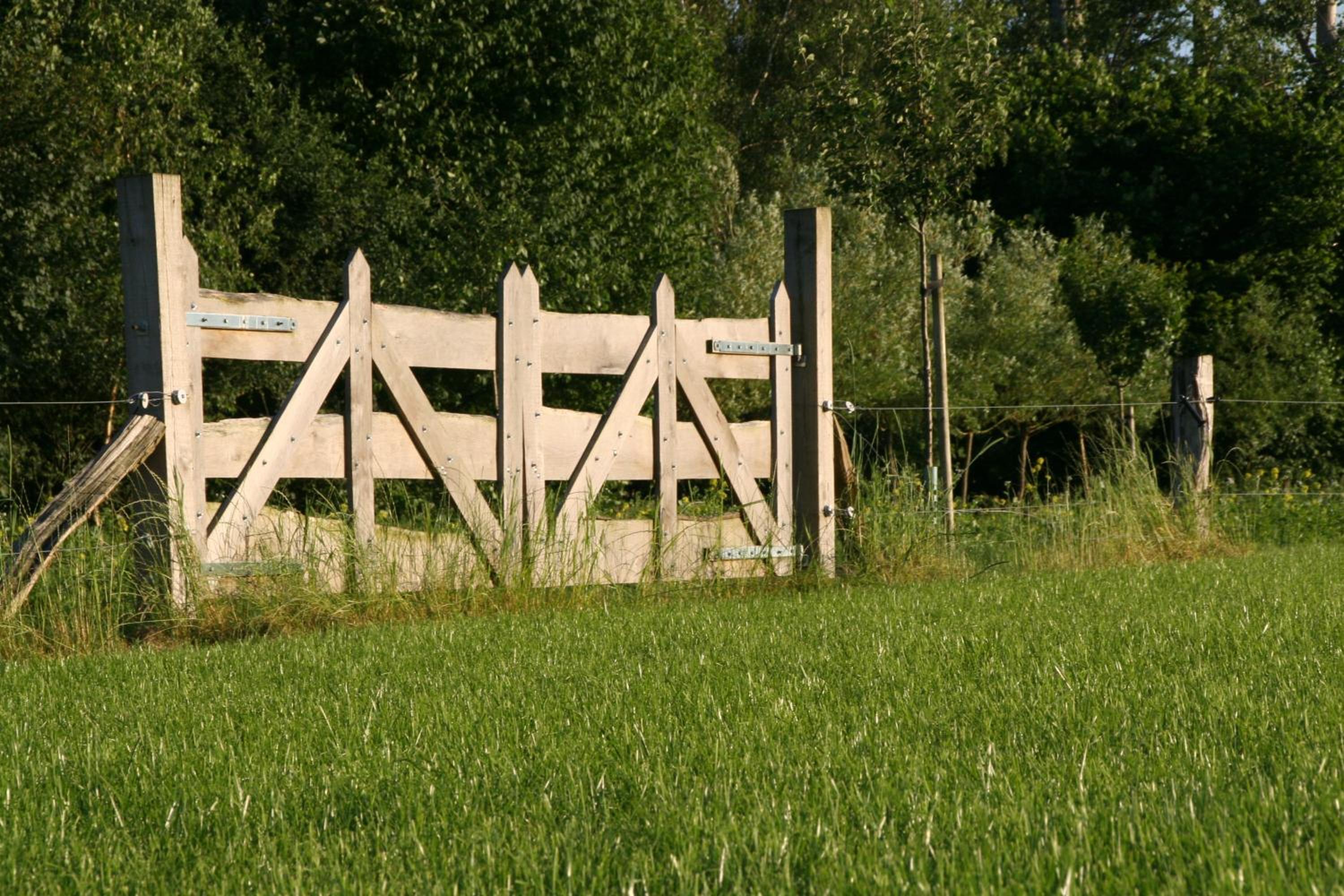 Photo 32