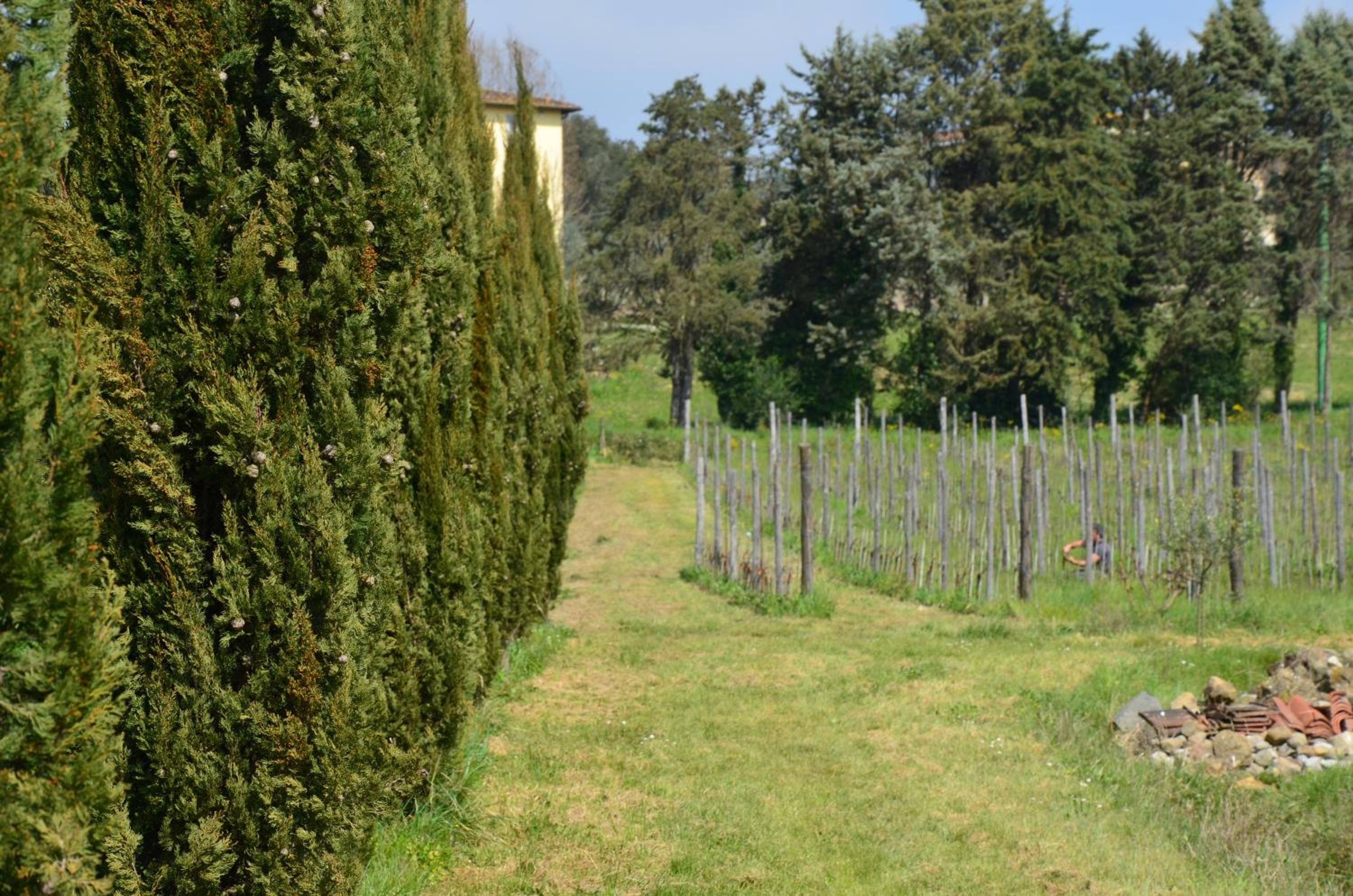 Agriturismo Al Podere Di Rosa — photo 18