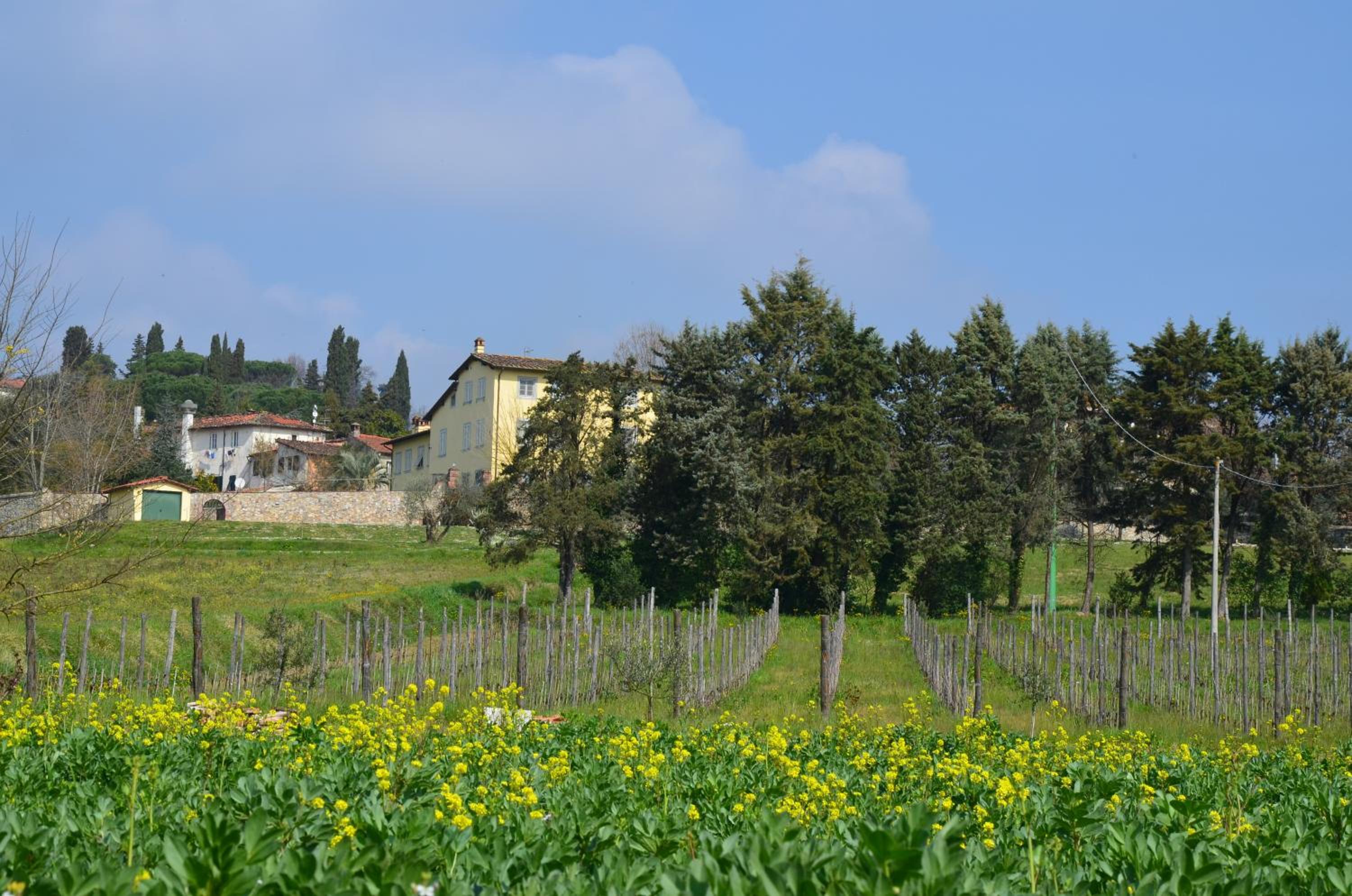 Agriturismo Al Podere Di Rosa — photo 2