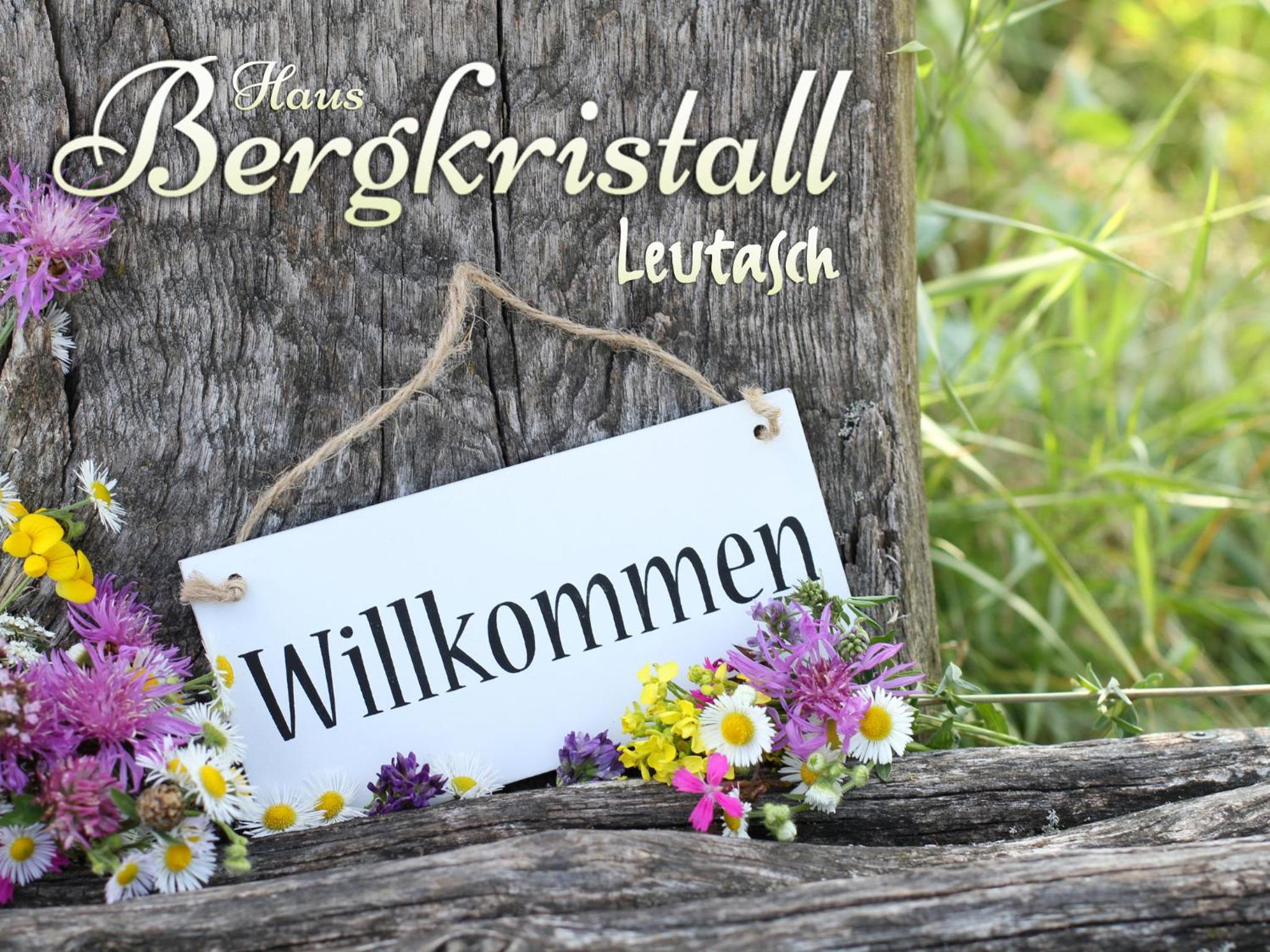 Haus Bergkristall view 2