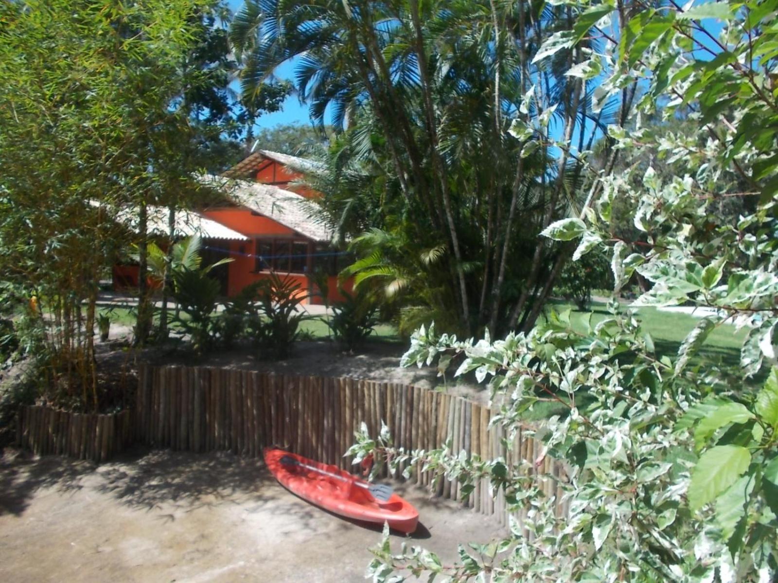 Photo 42