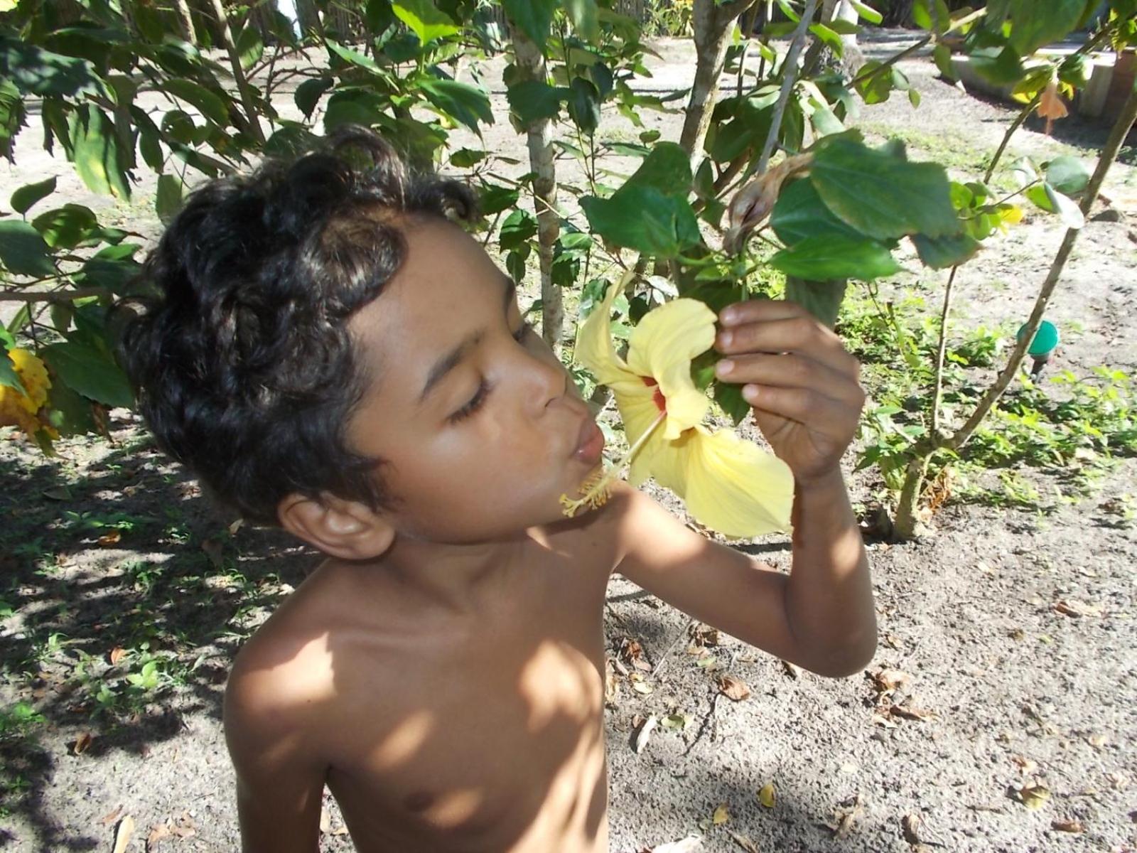 Photo 40
