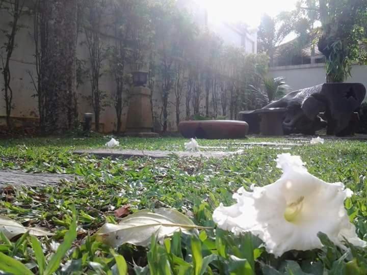 Green House Phuket
