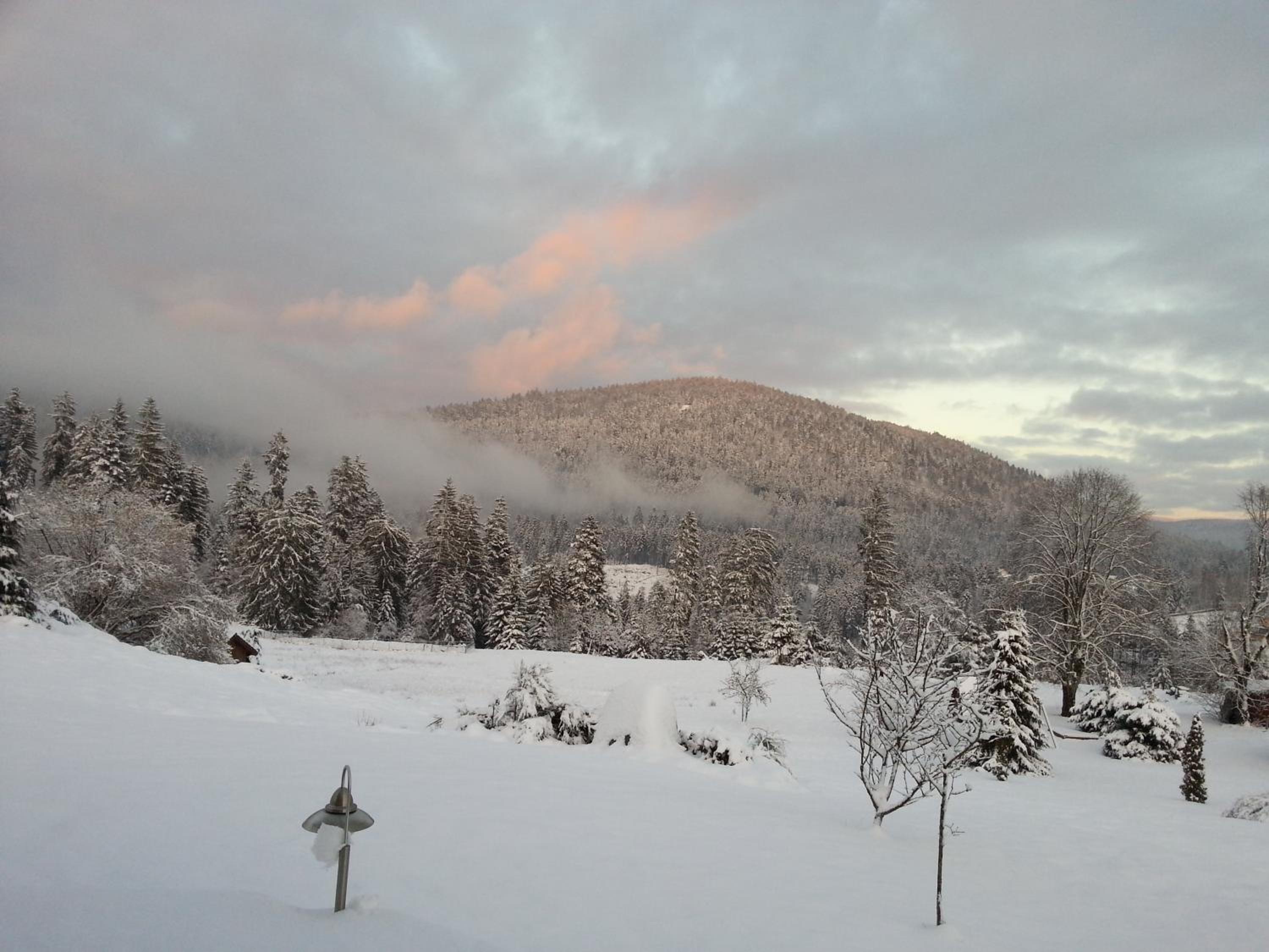 B&B Chalet l'Epinette, photo 3