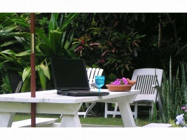 Pension Iriomote view 2