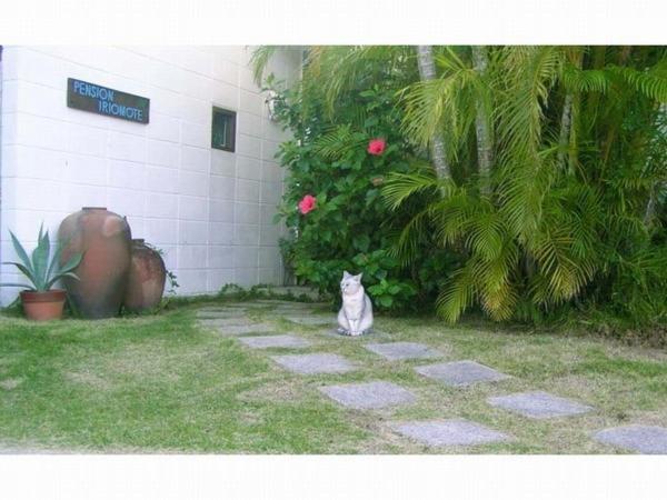 Pension Iriomote view 5