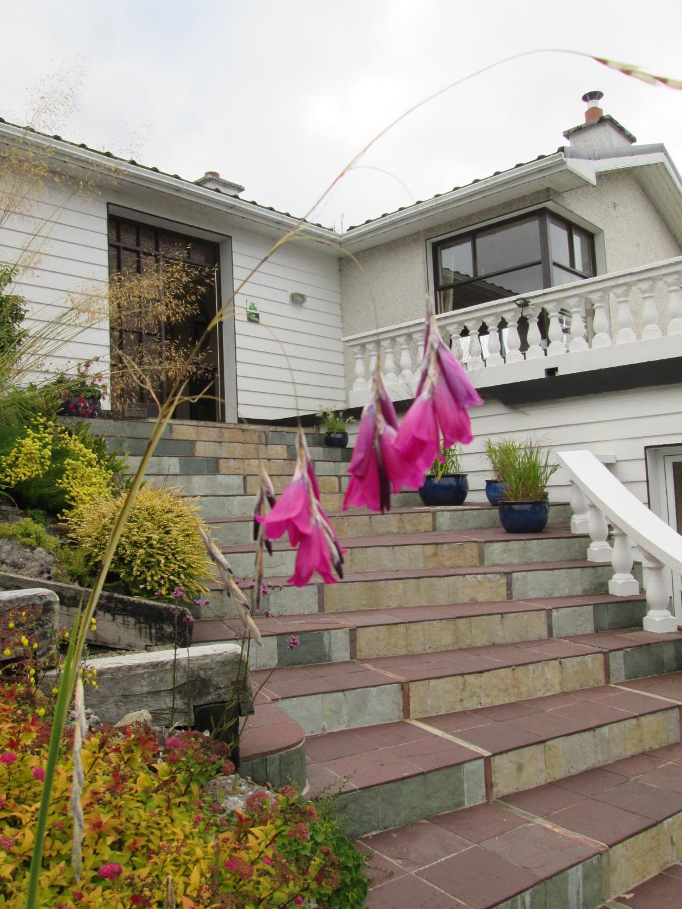 Hotel Kilbree House B&B - Image 1