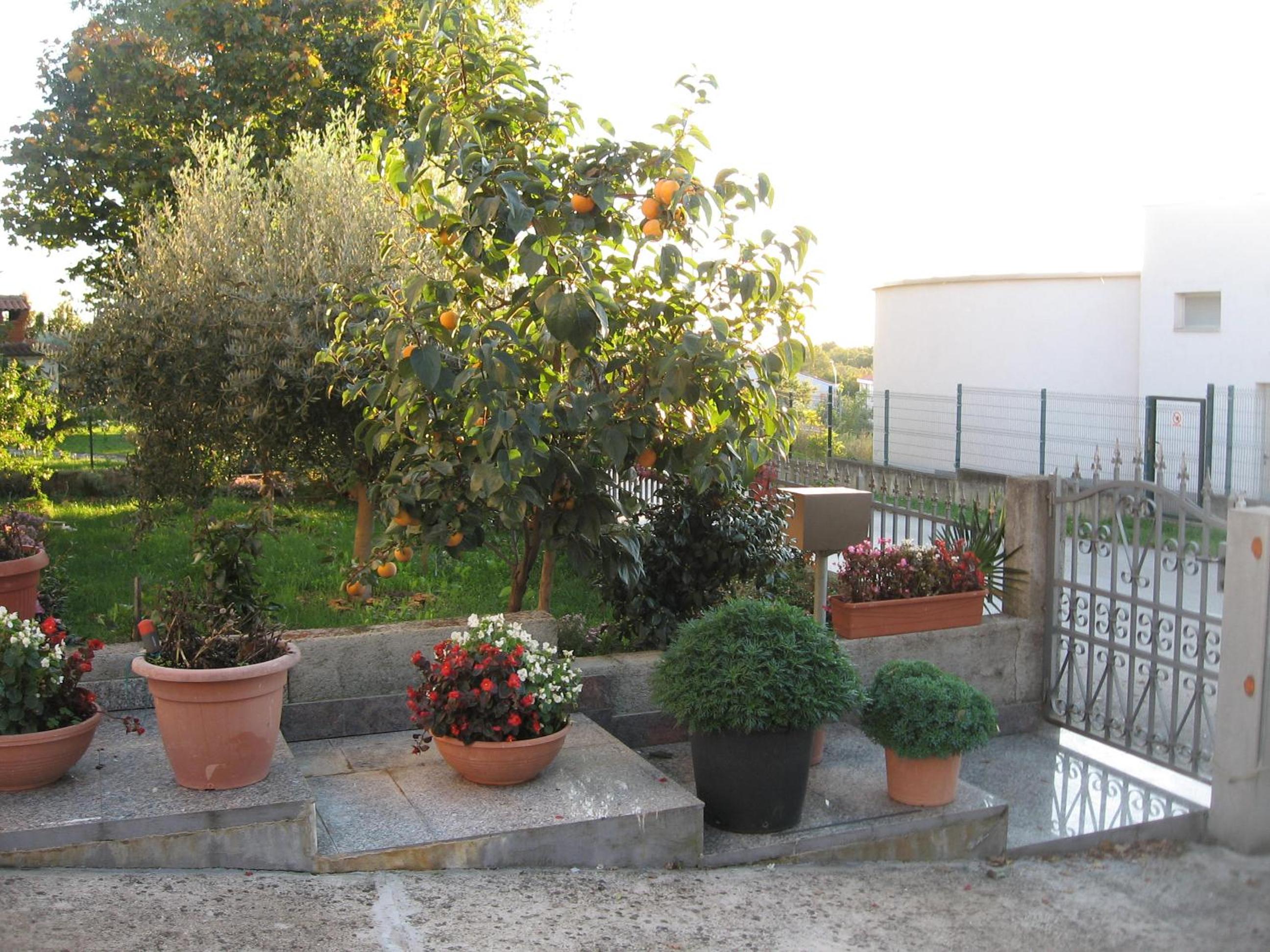 Photo 39