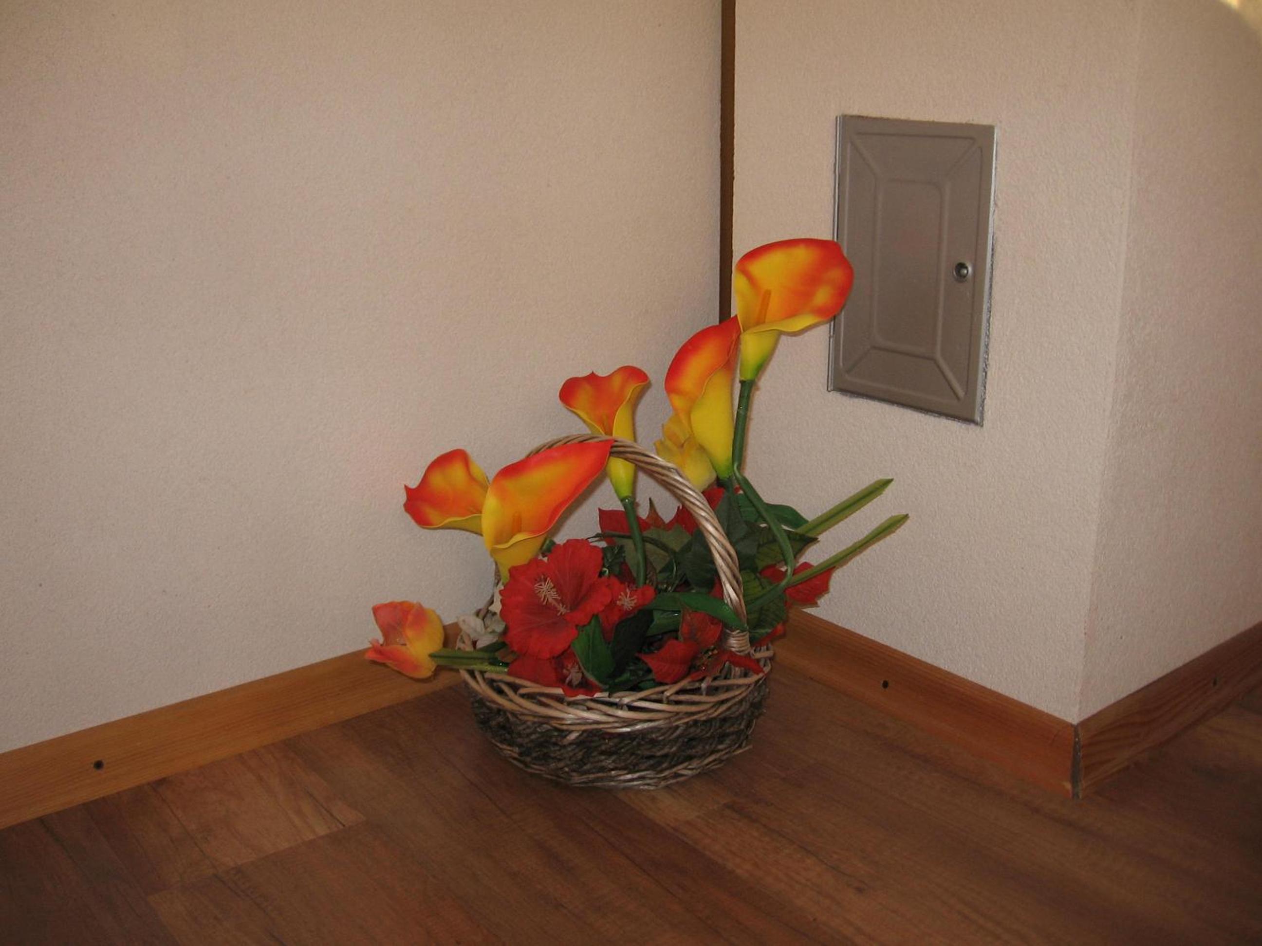 Photo 48