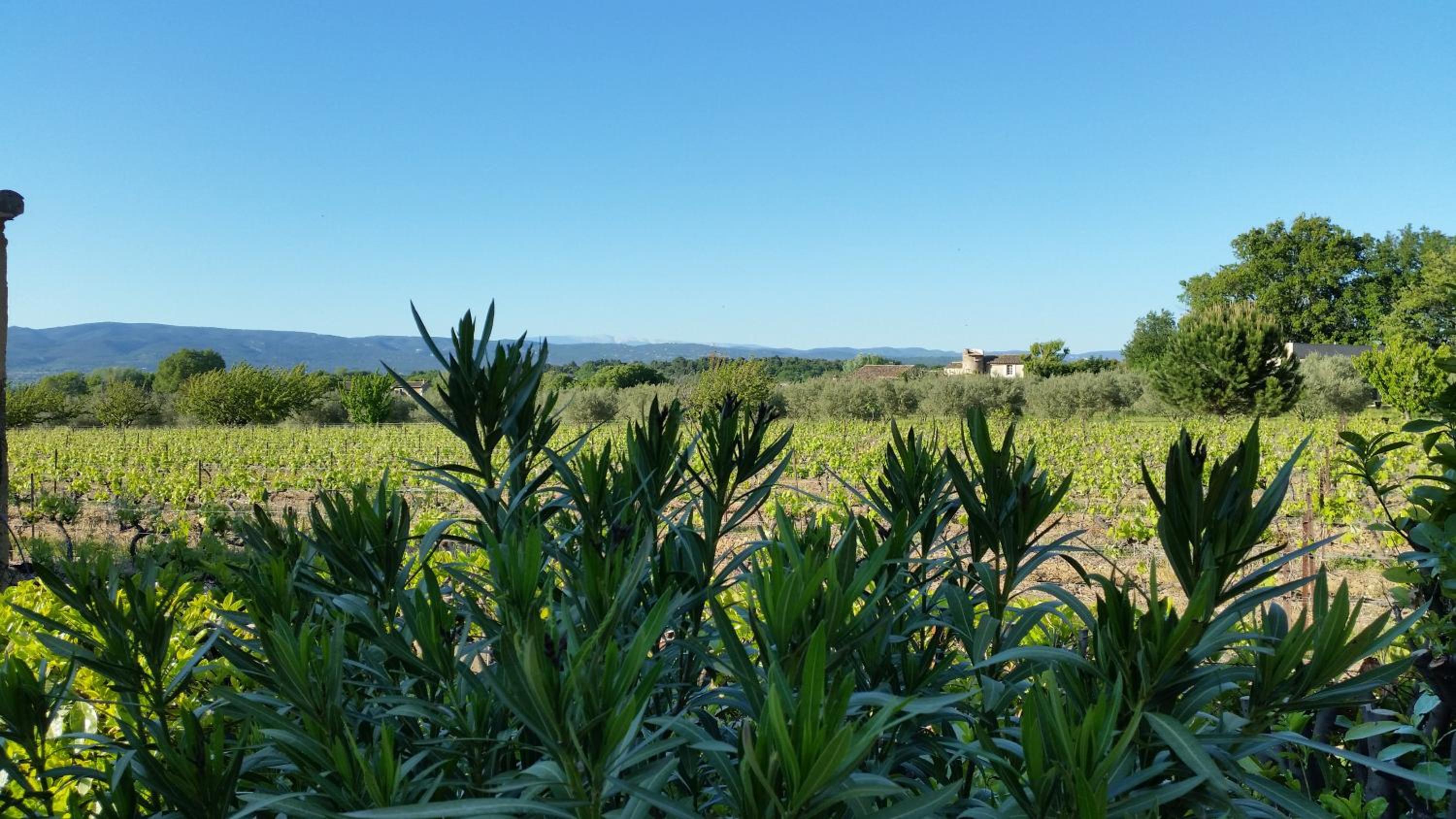Le Jardin d'Ivana