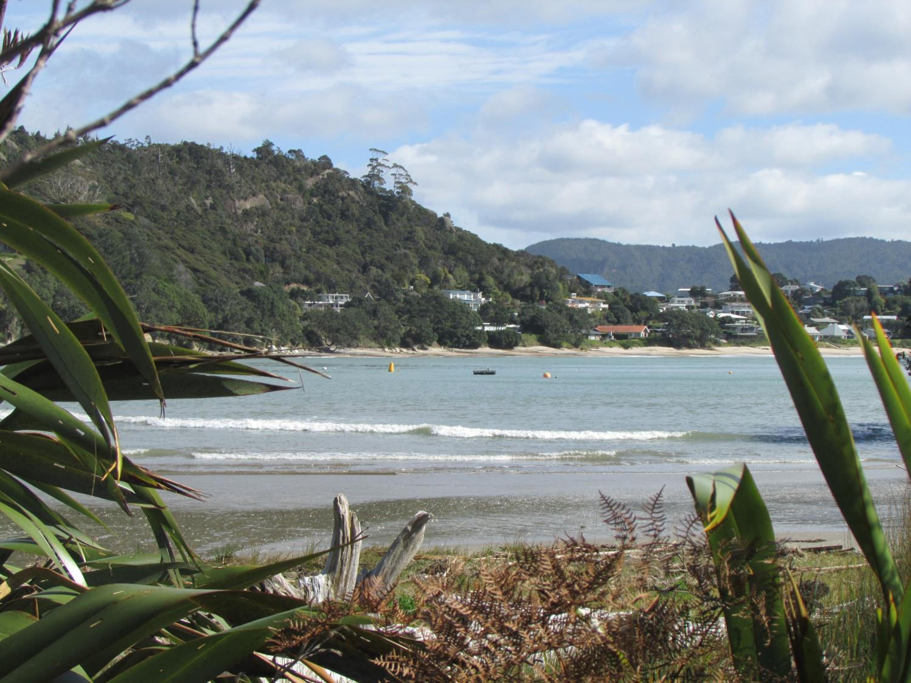 Flaxmill Cove B&B