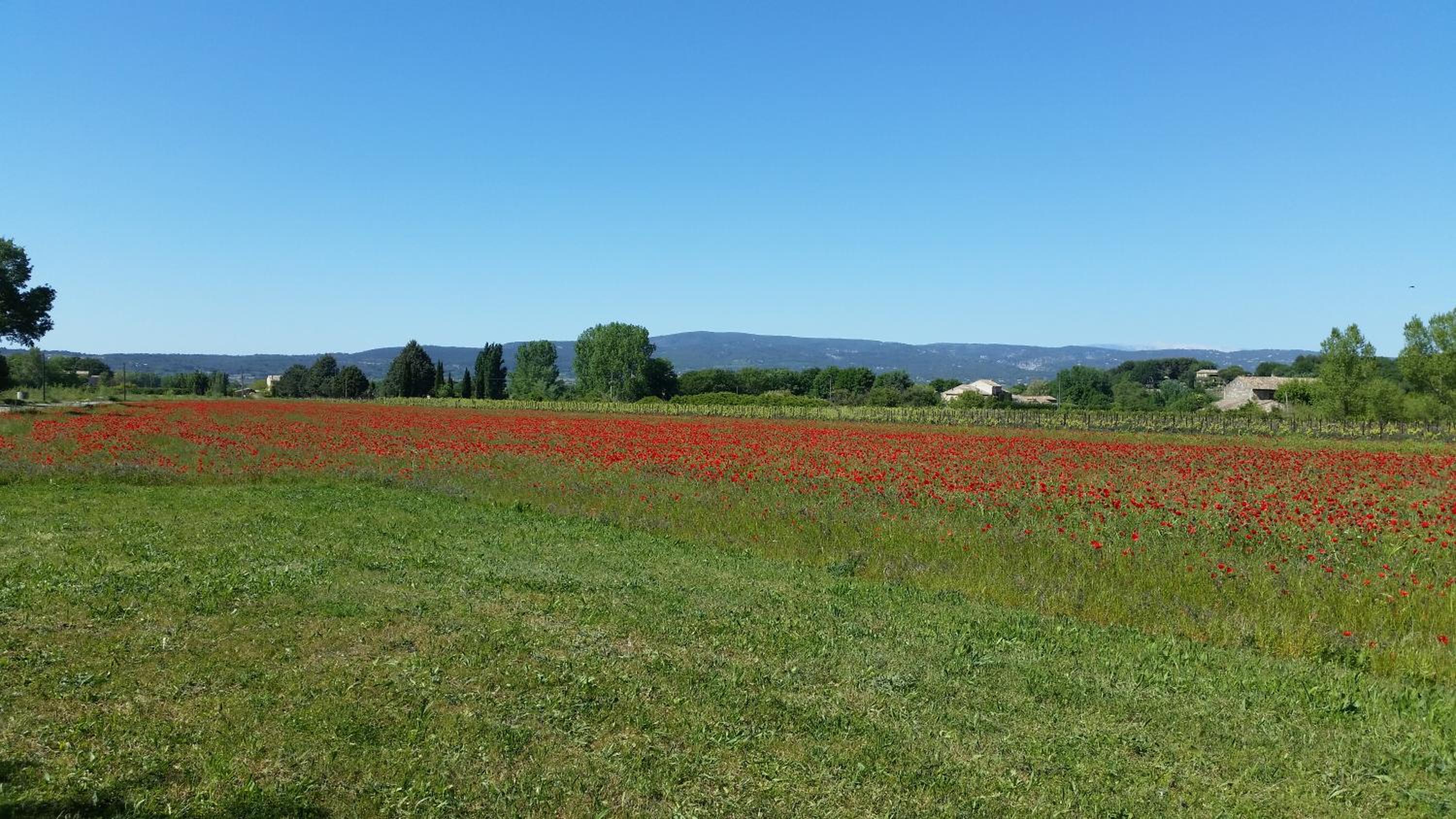 Le Jardin d'Ivana