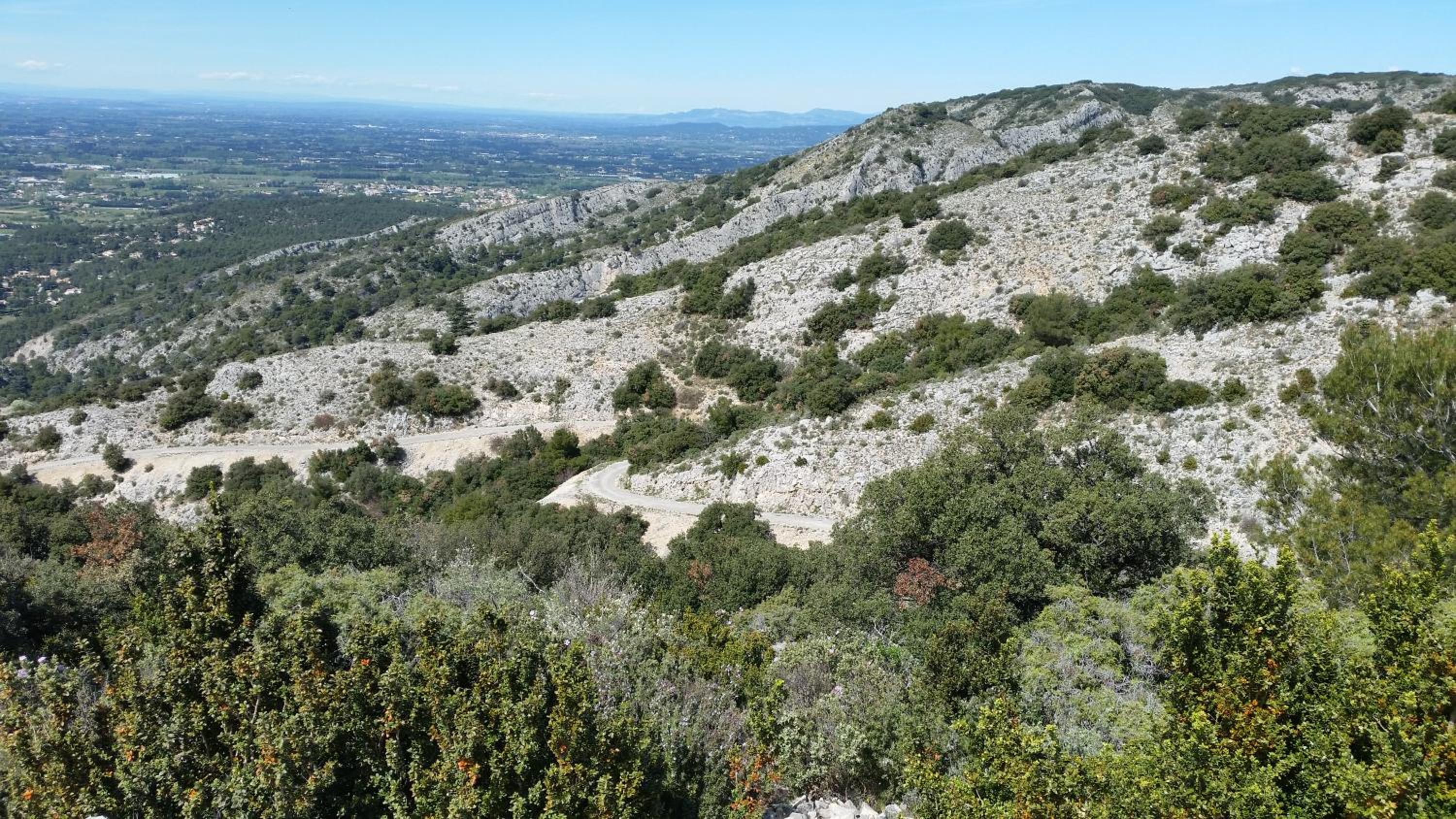 Le Jardin d'Ivana