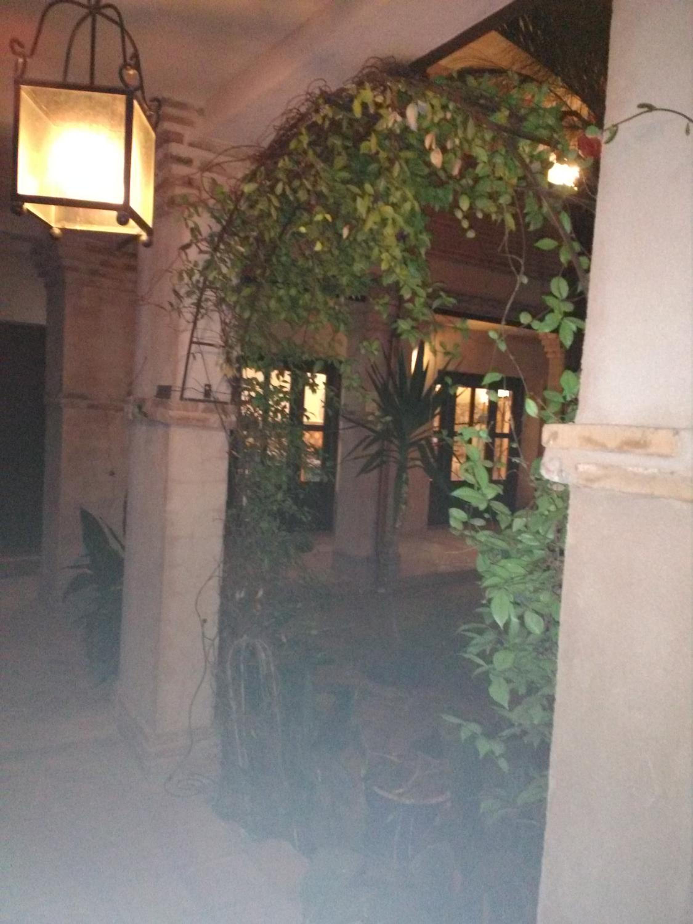 Photo 42