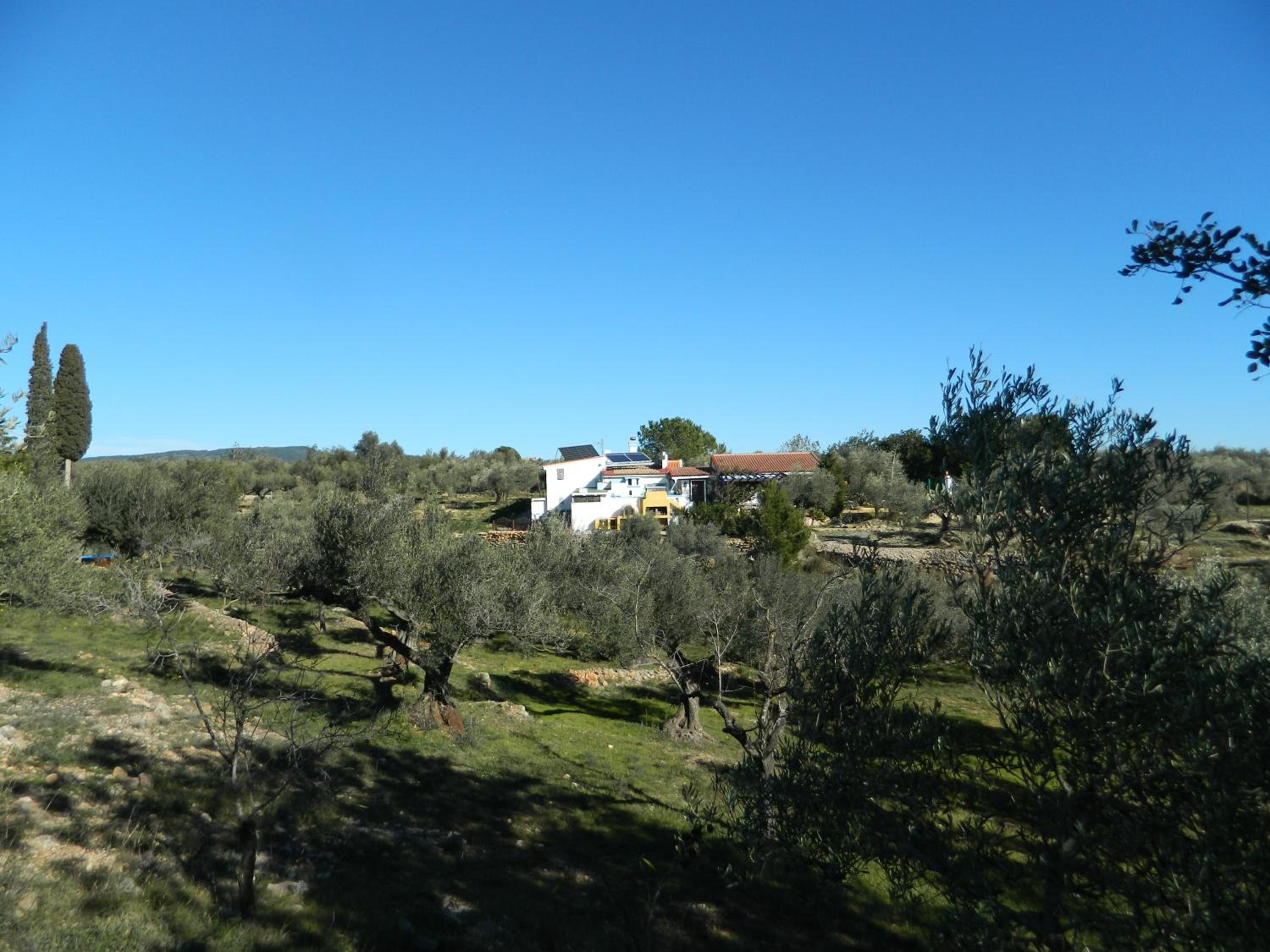 Photo 6