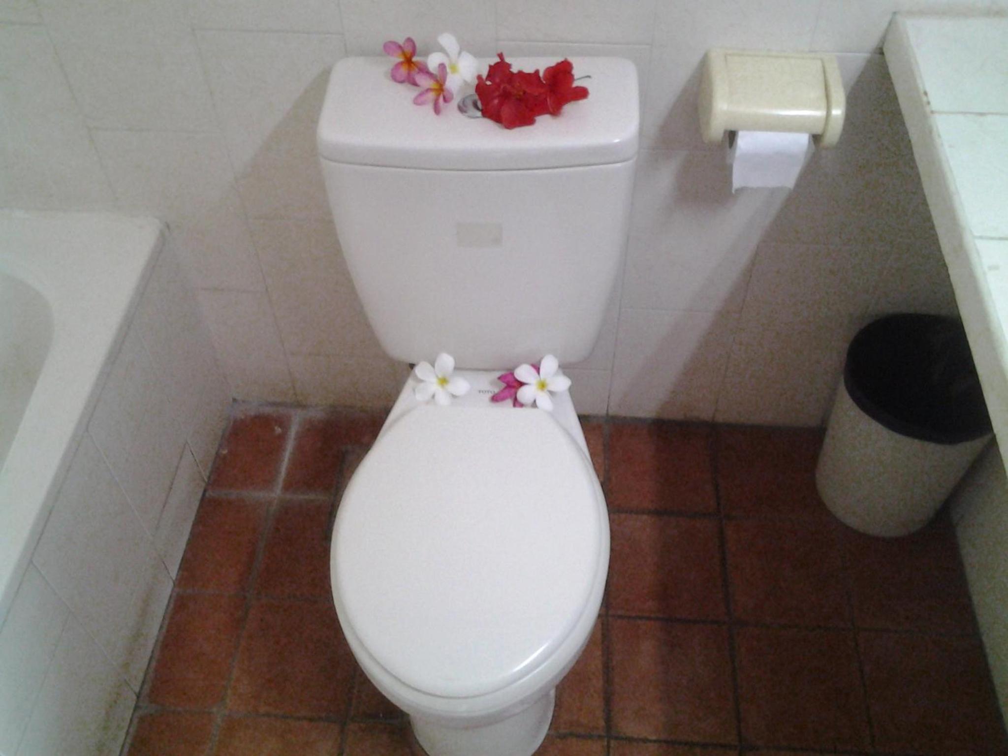 Photo 43
