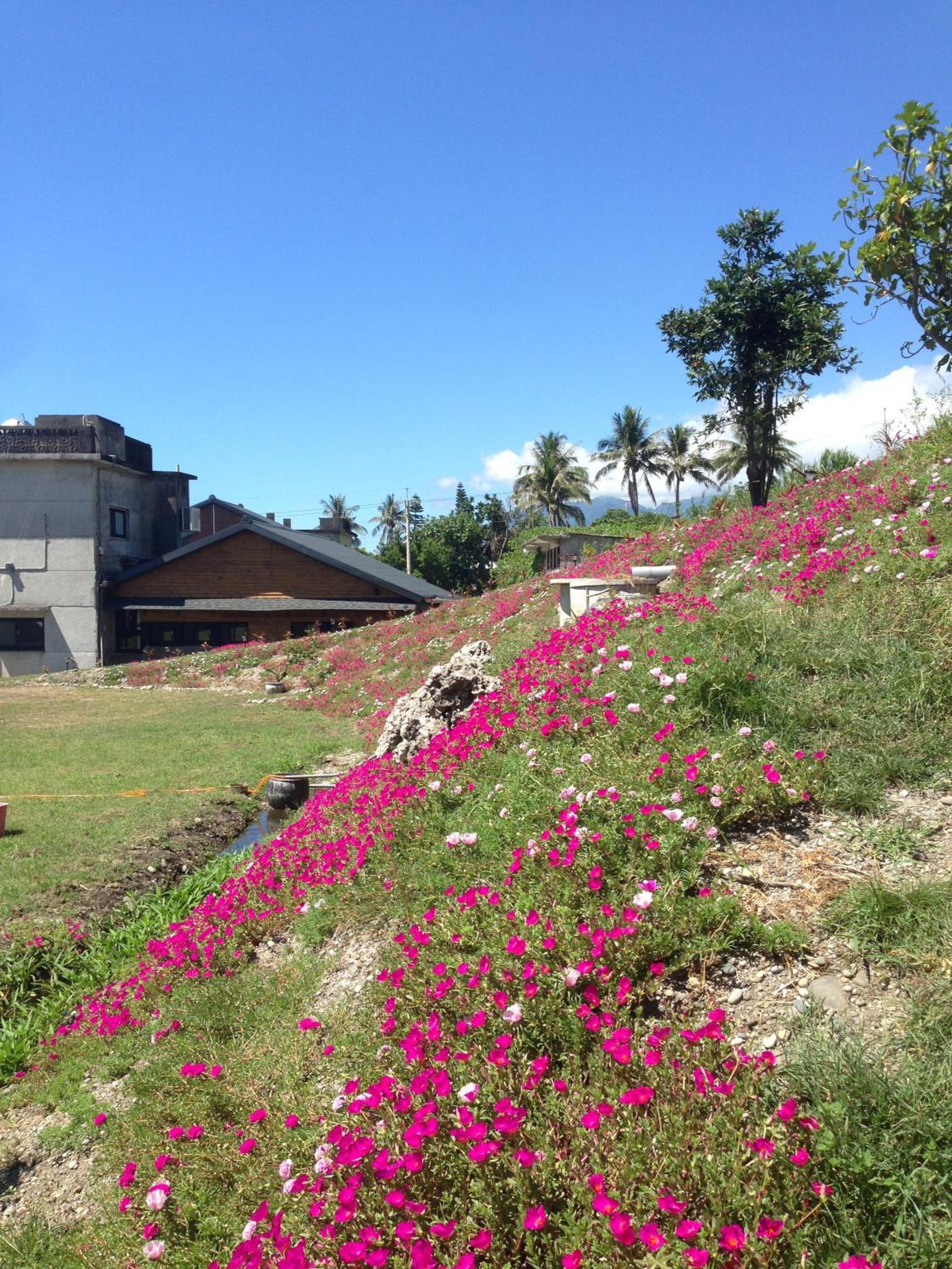 Runners' House Taitung