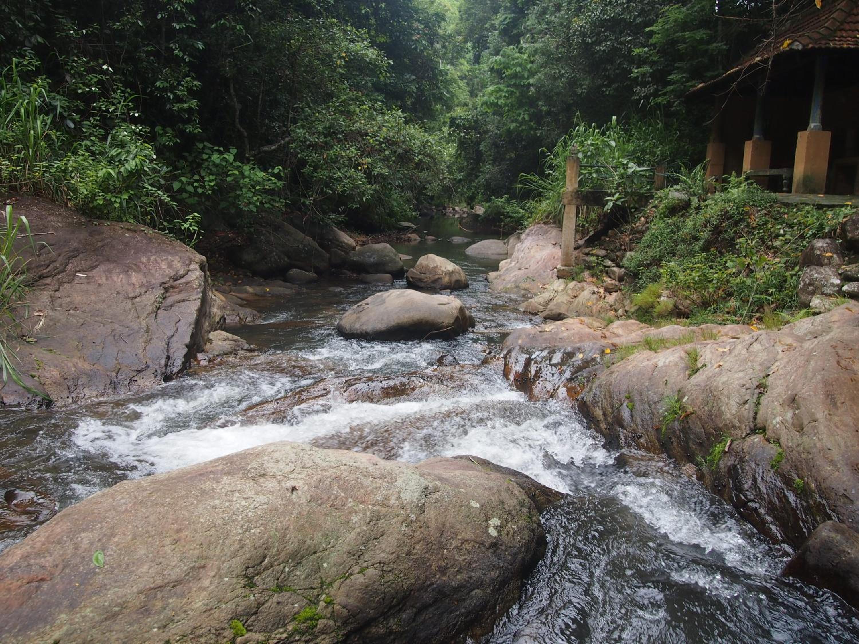 Photo 79