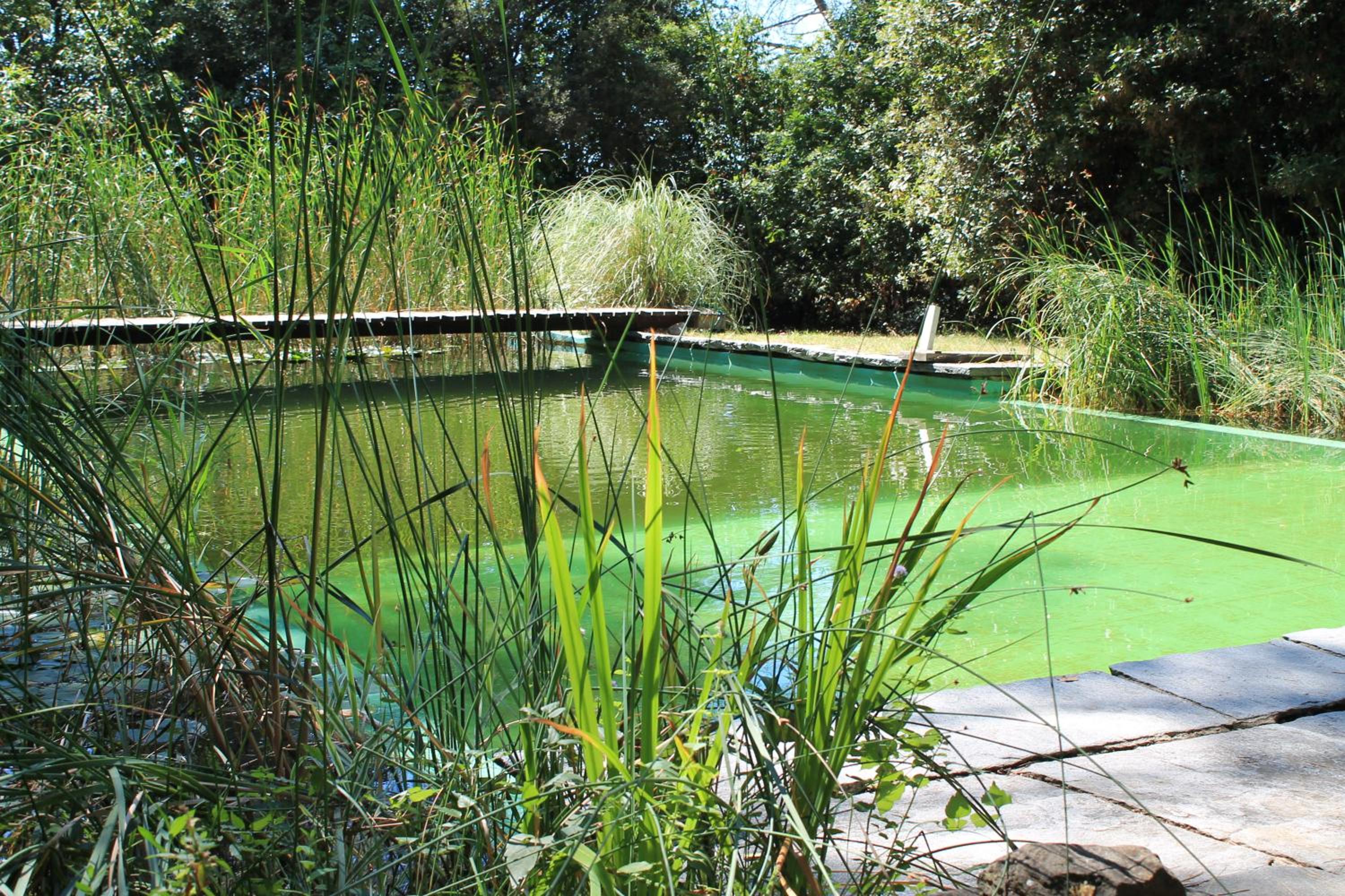 Il Poggio B&B