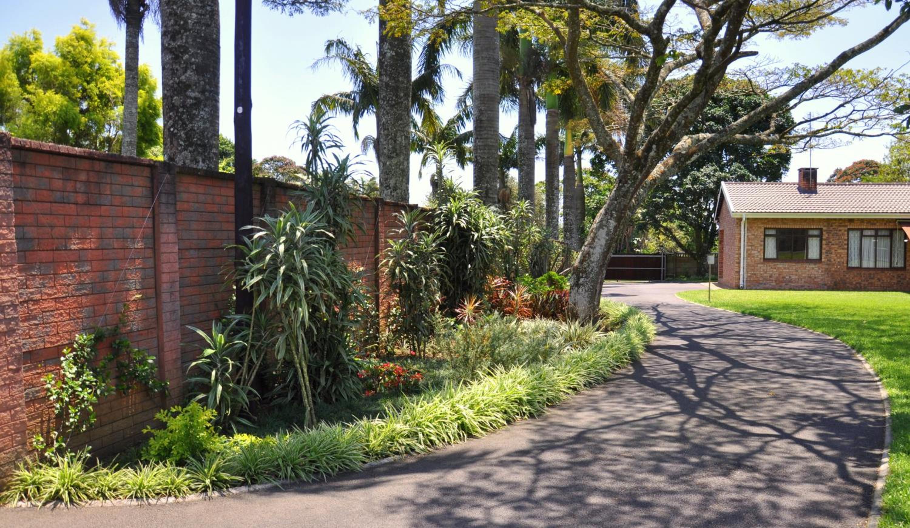 Birds of Paradise B&B