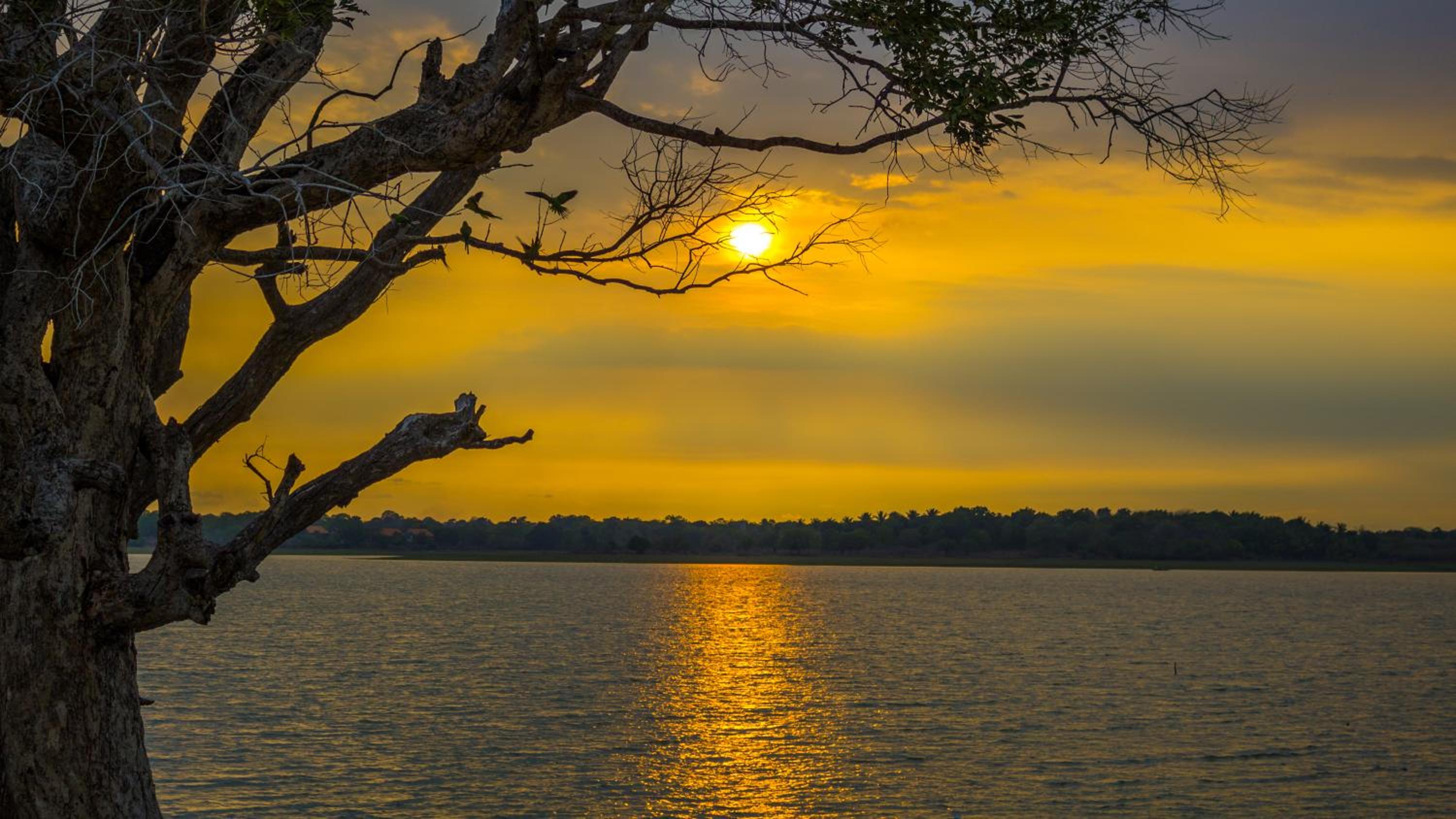 Serenity Lake Resort Yala view 4
