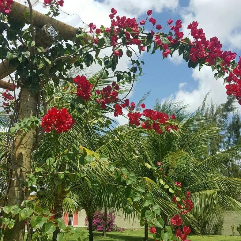 Pousada Macamirim view 2