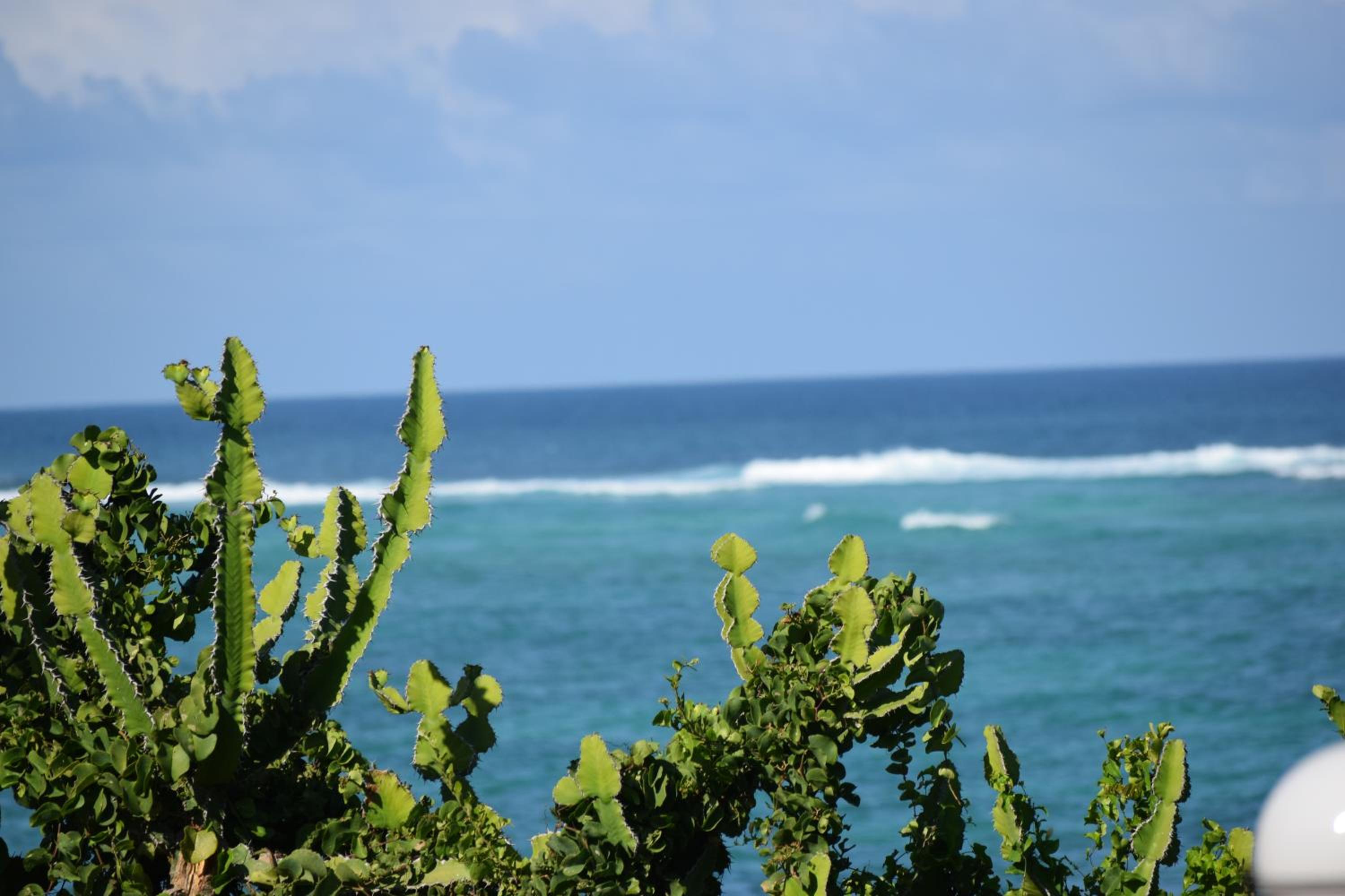 Hillpark Amare Resort