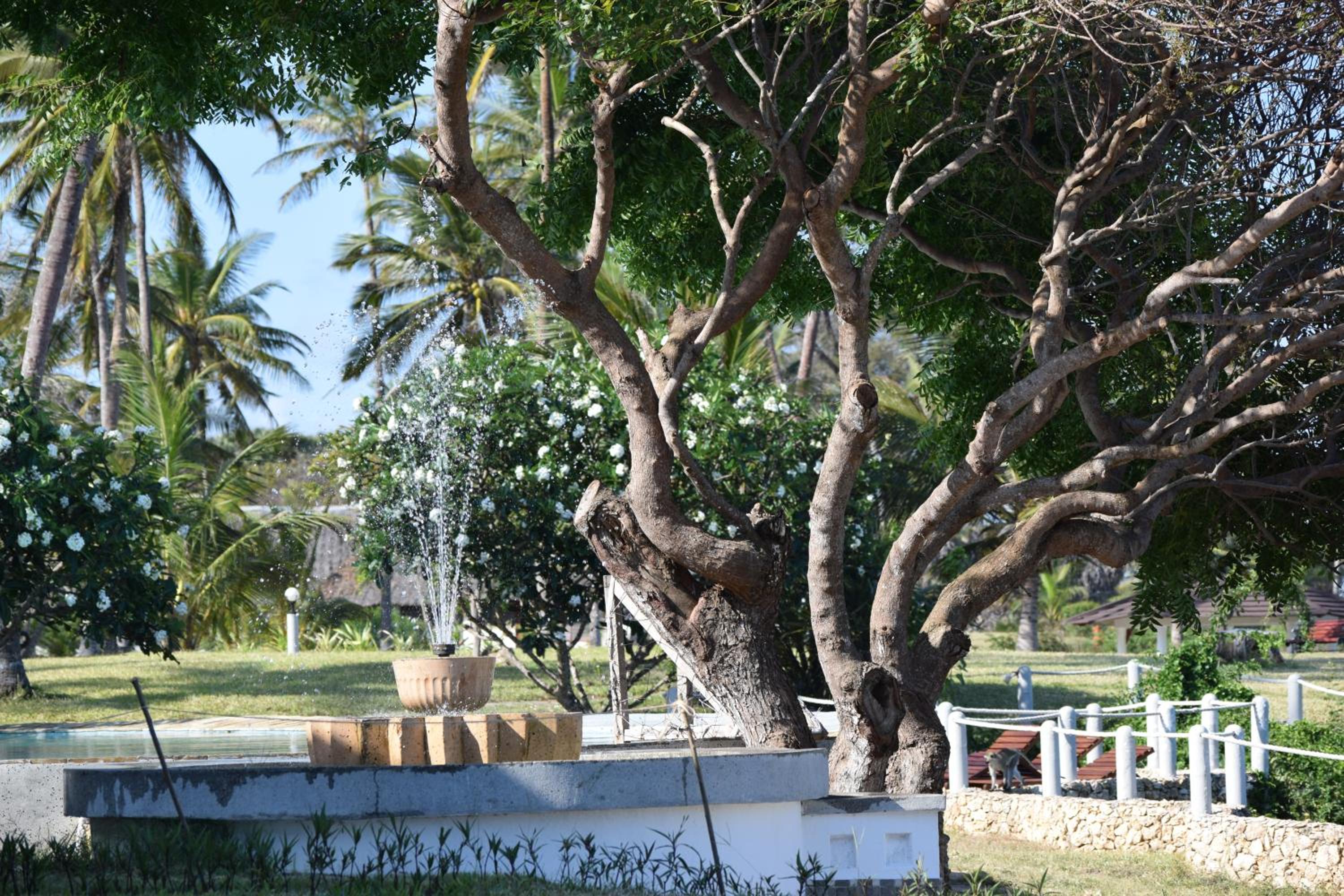 Hillpark Amare Resort