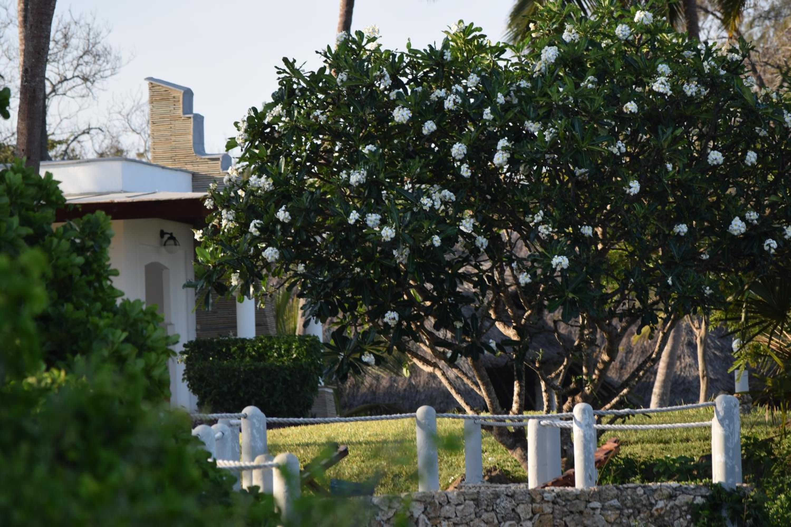 Hillpark Amare Resort