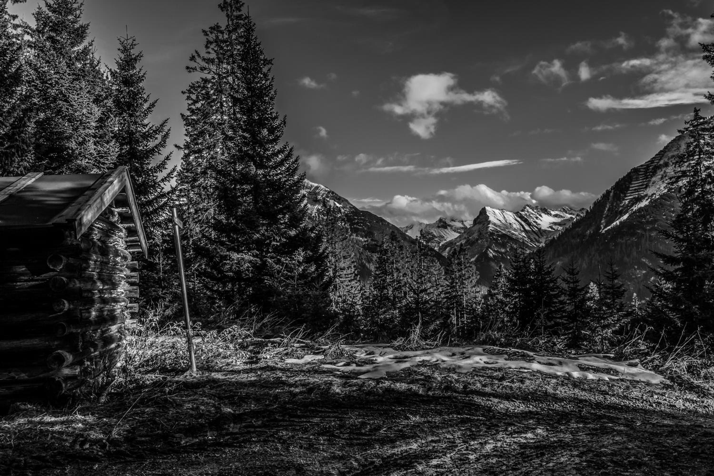 Hotel Alpenblick
