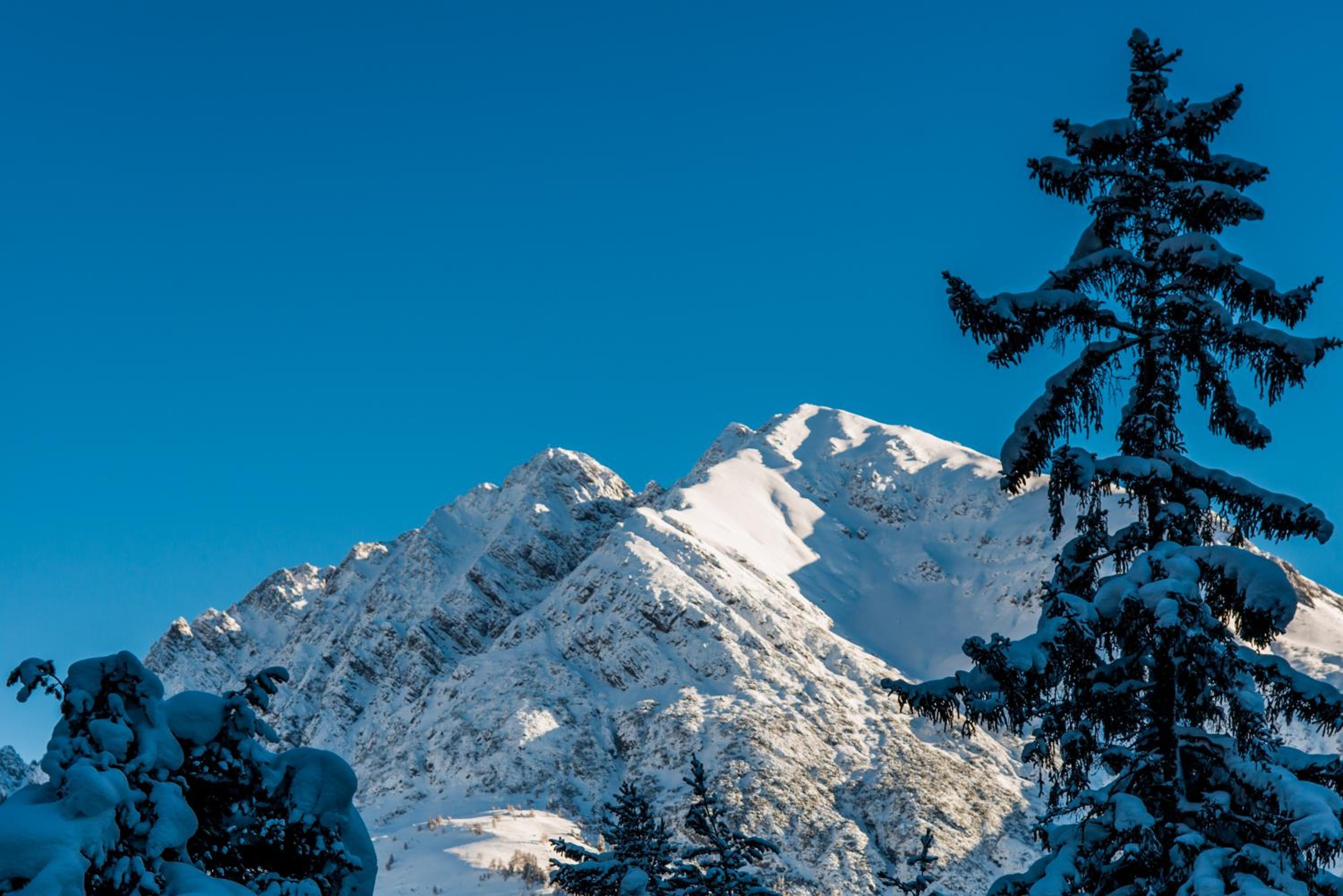 Hotel Alpenblick