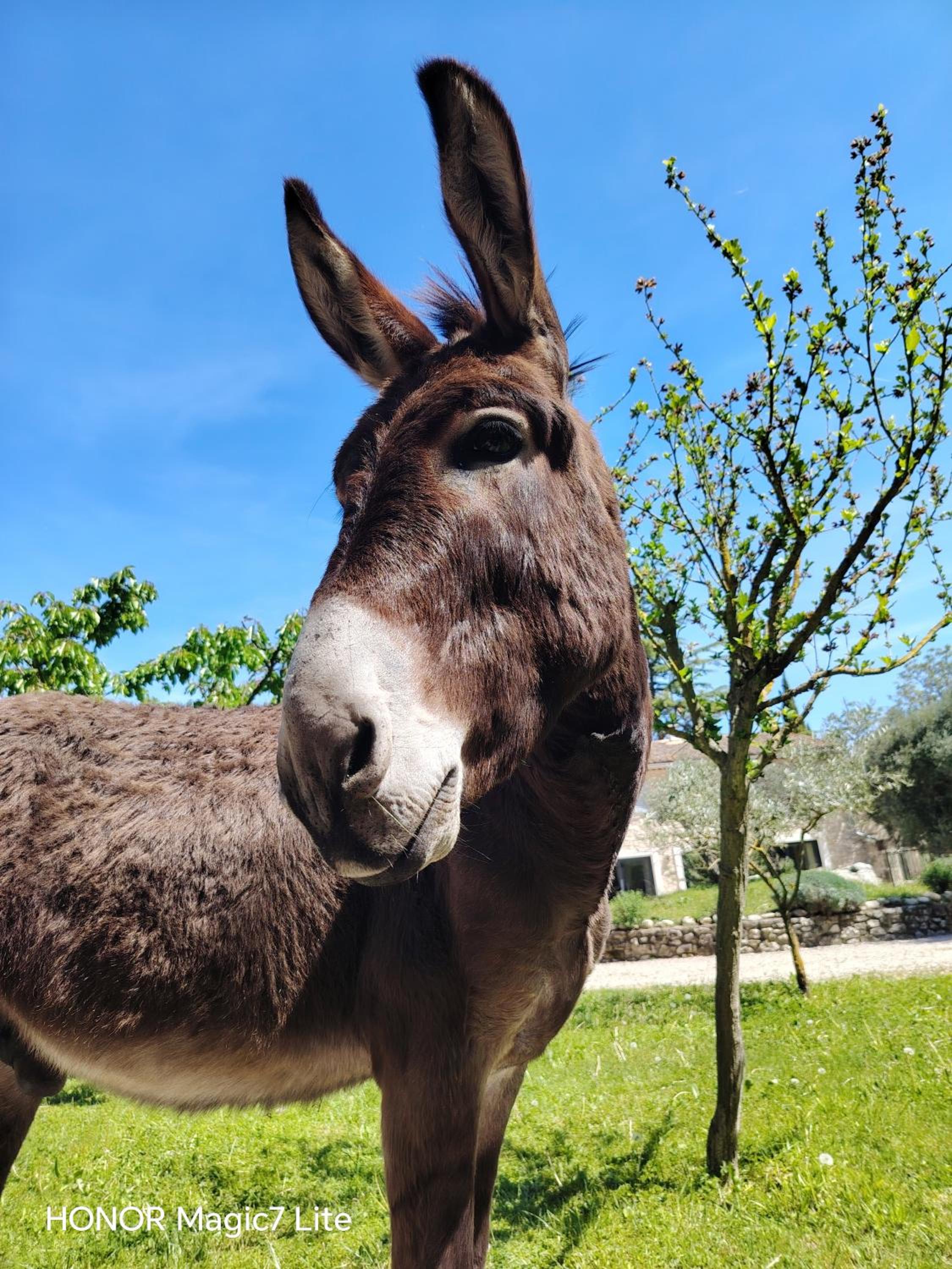 Le Mas Paolo, photo 27