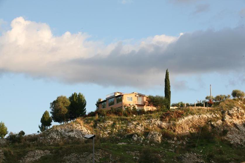 Ciuci's Manor