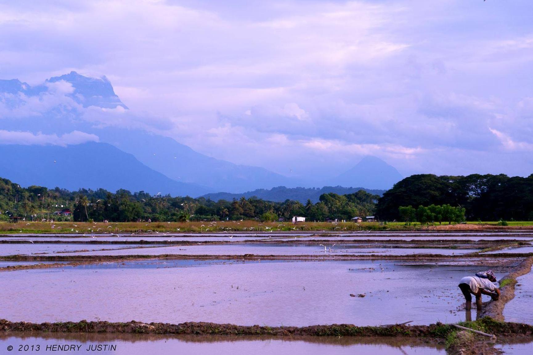 Taun Gusi Village Homestay