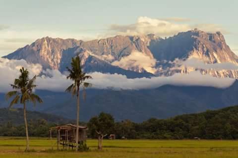 Taun Gusi Village Homestay