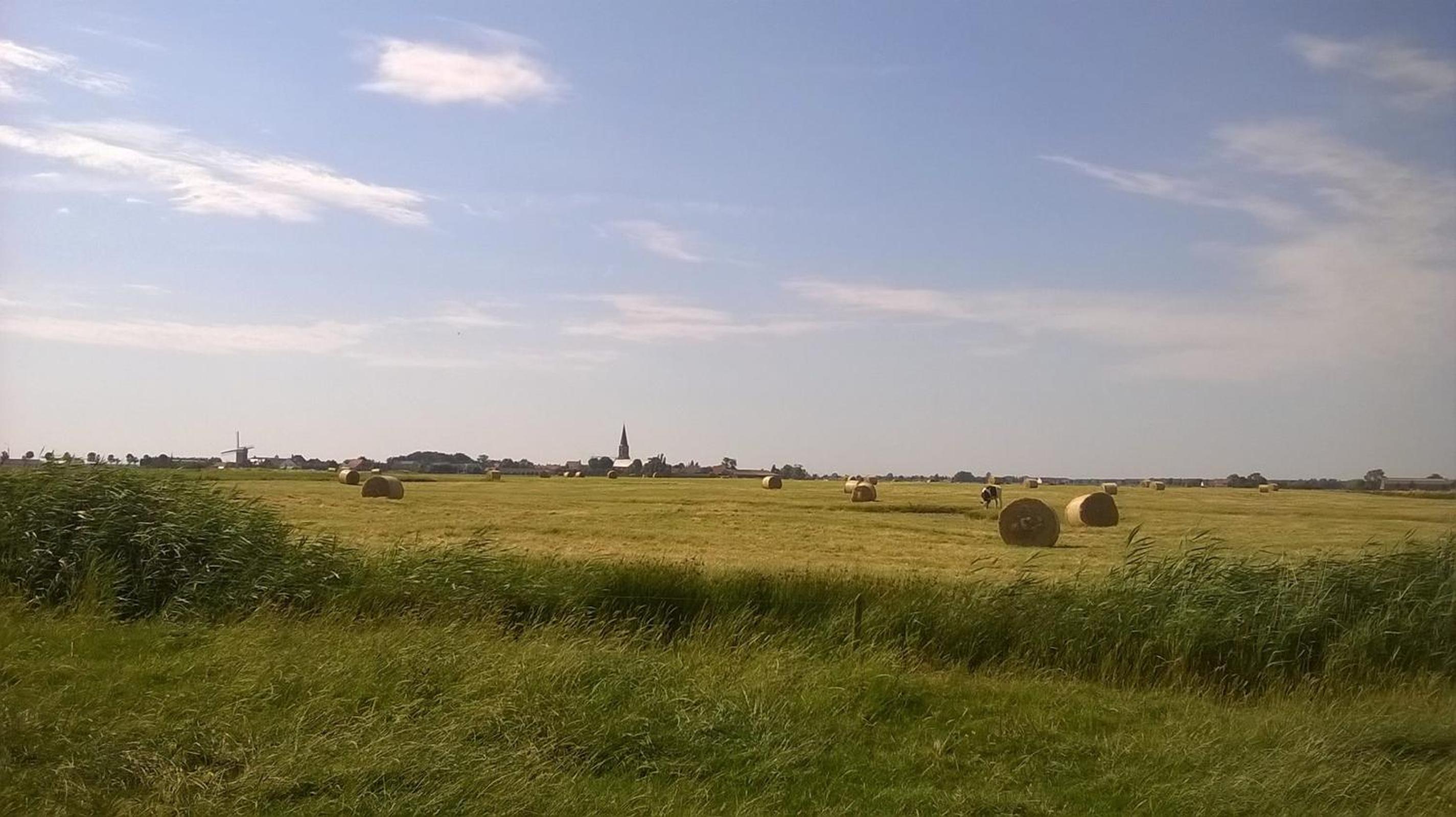 Hoeve Langhof