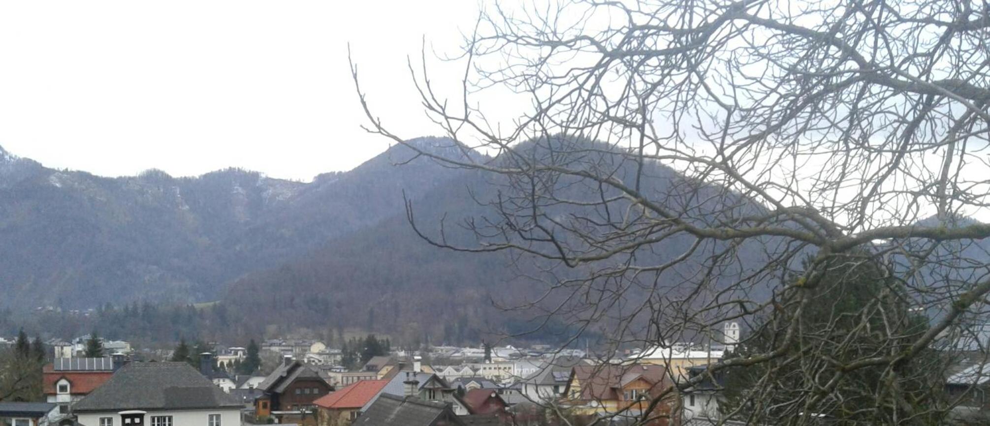 Liuis