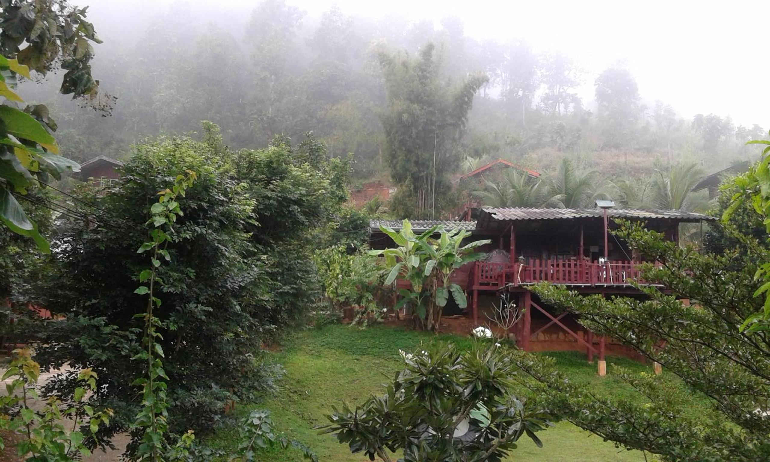 Forest Guesthouse
