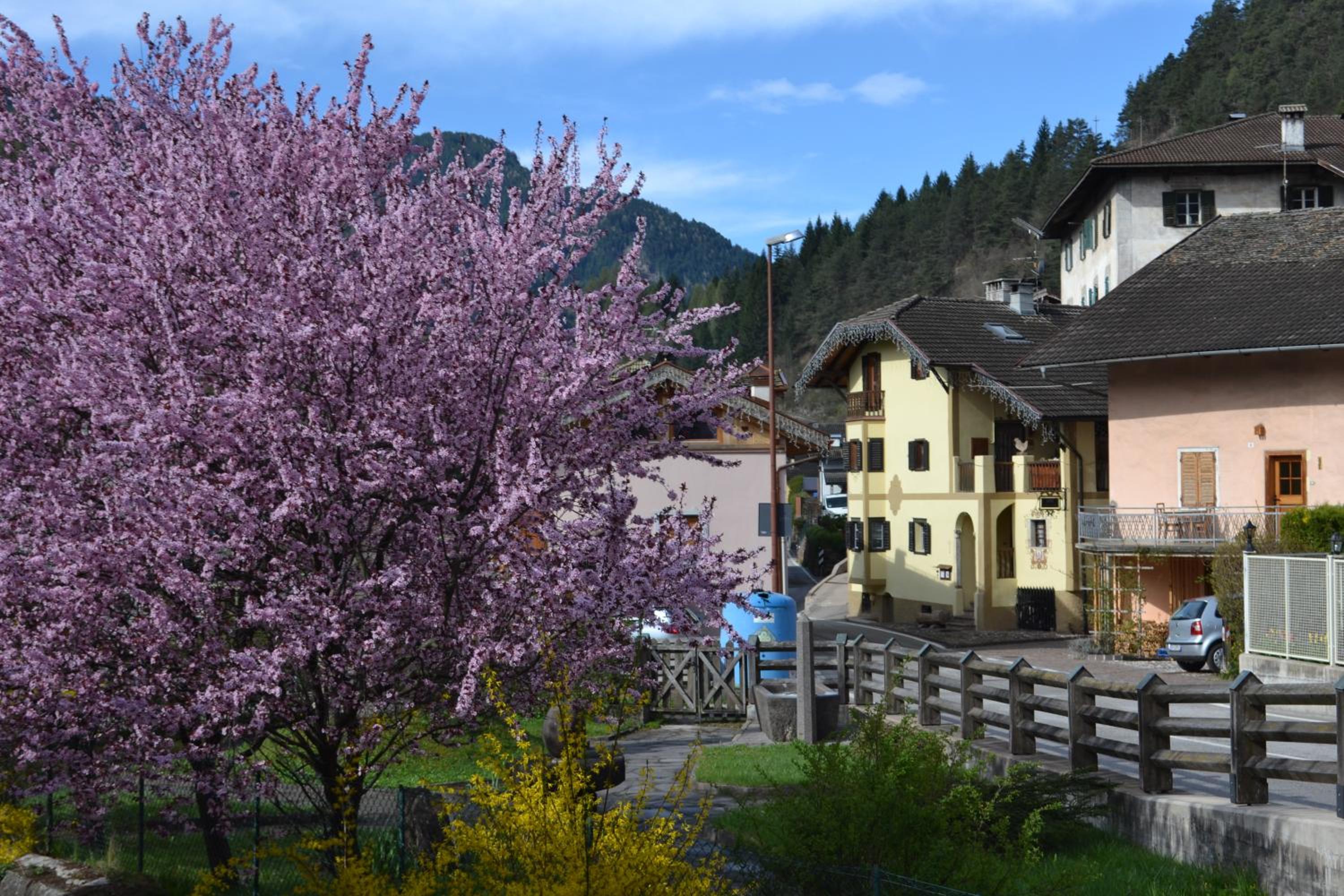 Photo 42