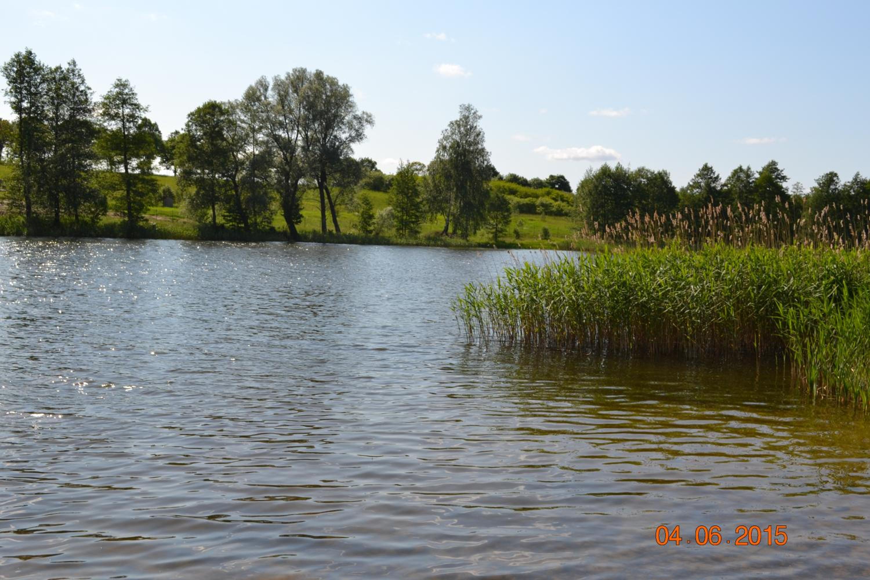 Photo 26