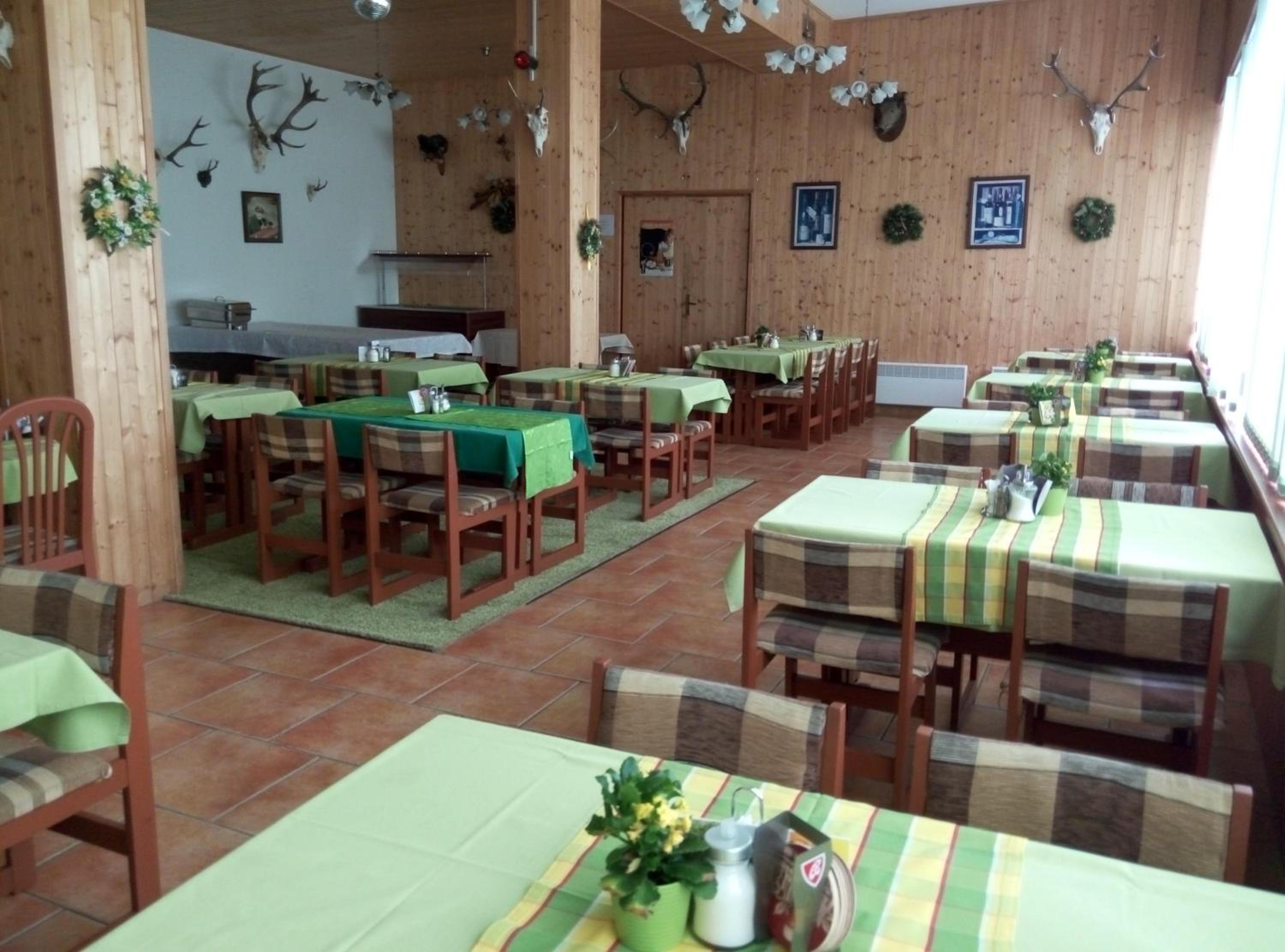 Lesní pension
