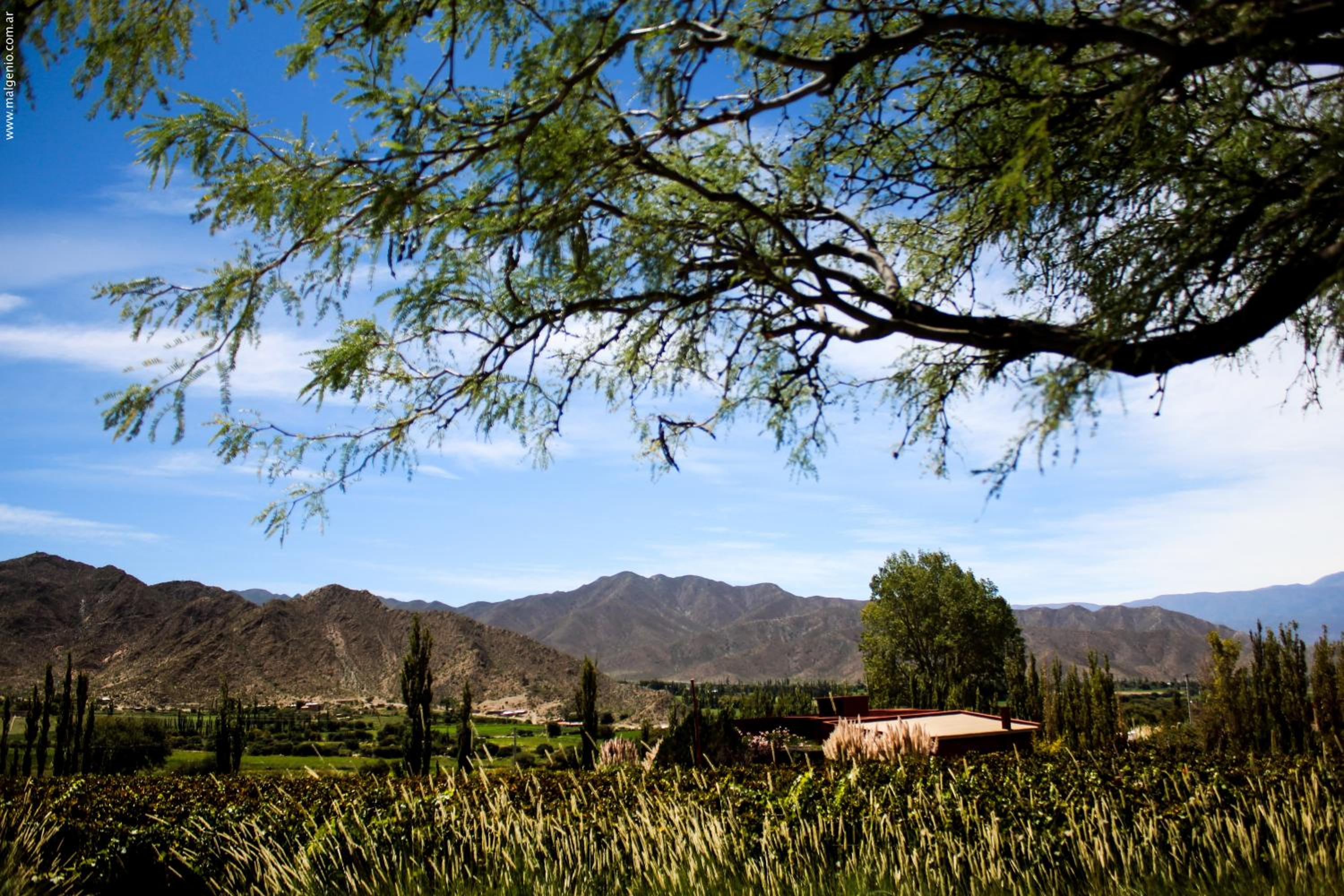 Miraluna Bodega Boutique