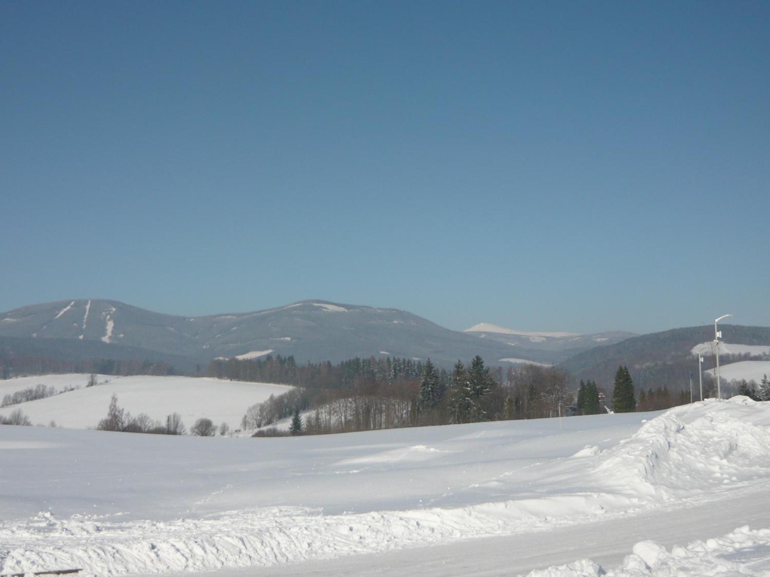 Photo 41