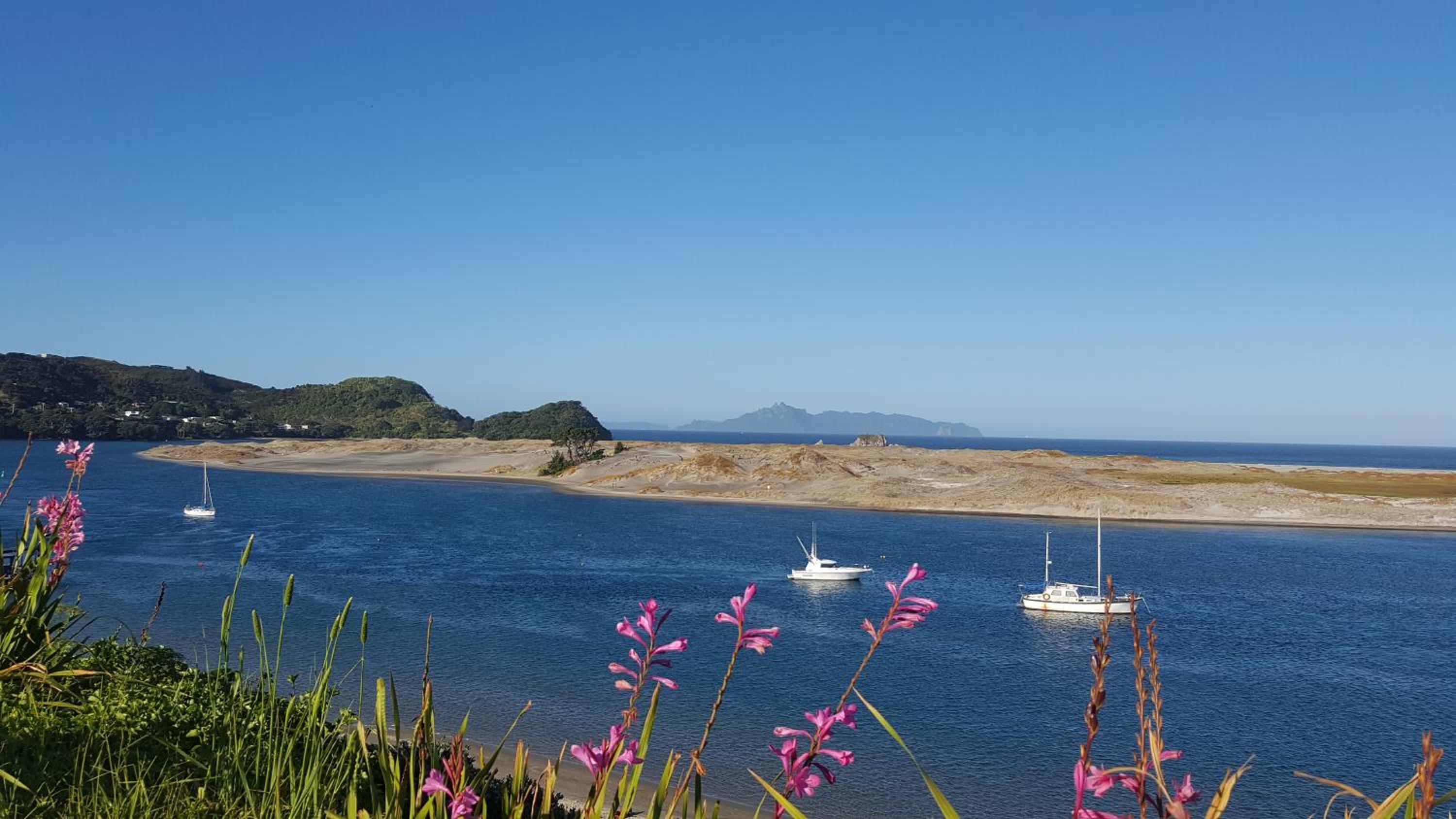 Cosy Mangawhai House view 2