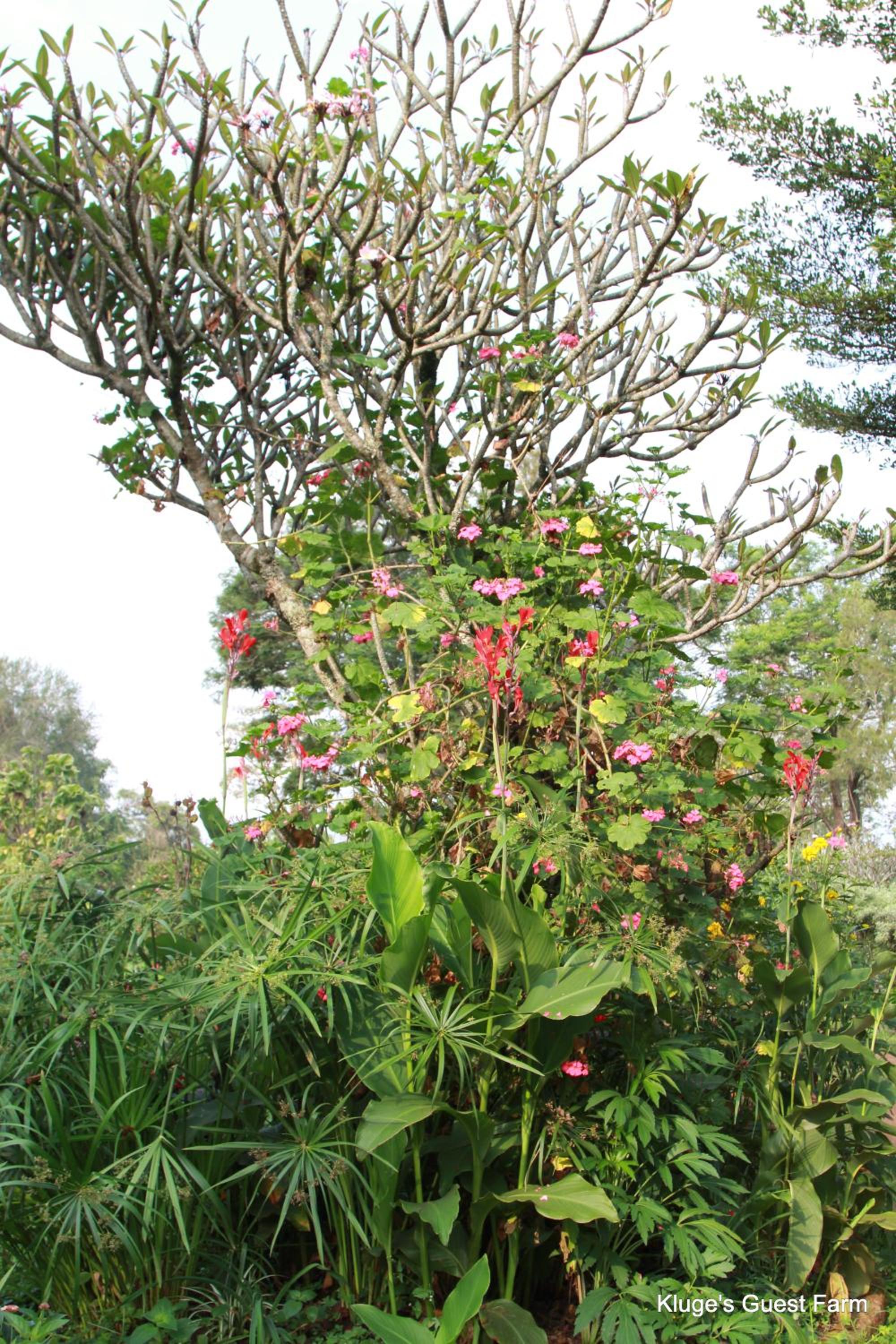 Photo 27