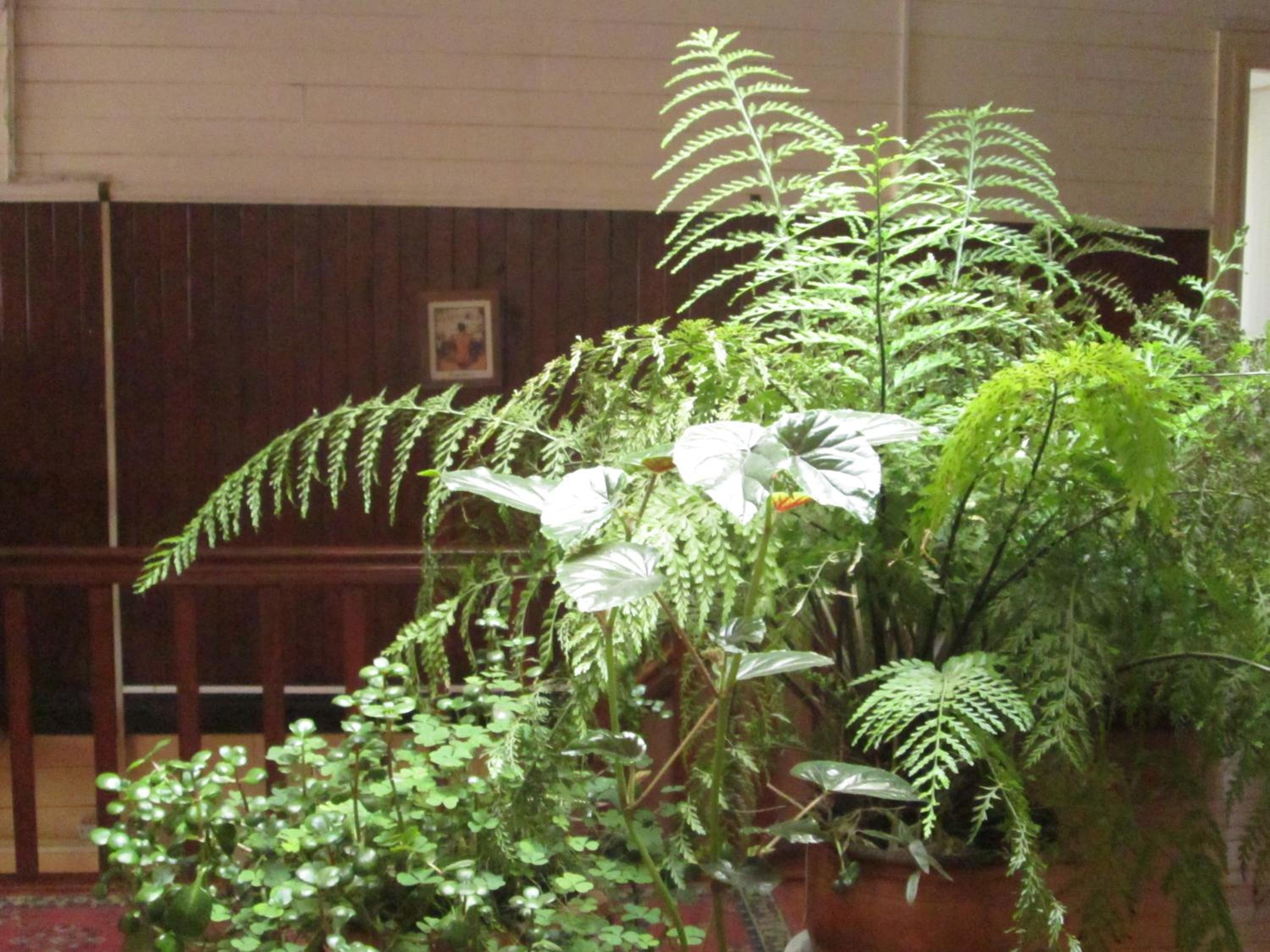 Photo 22